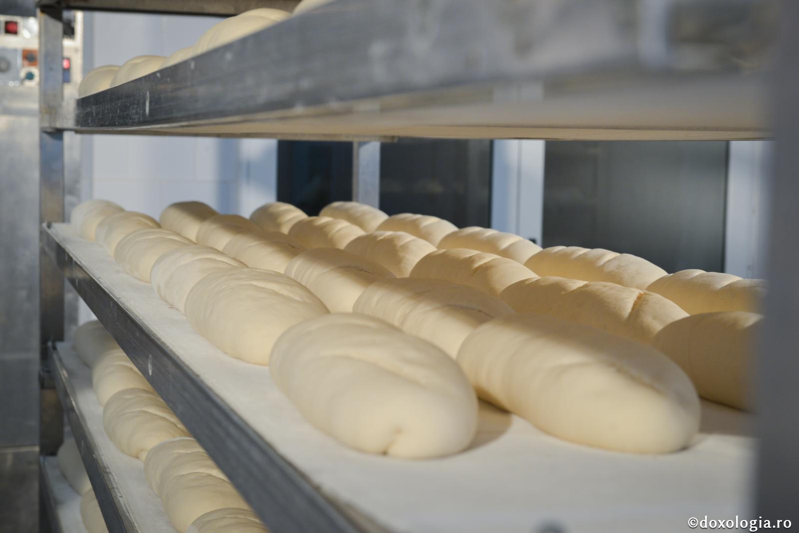 Pâinea cea de toate zilele