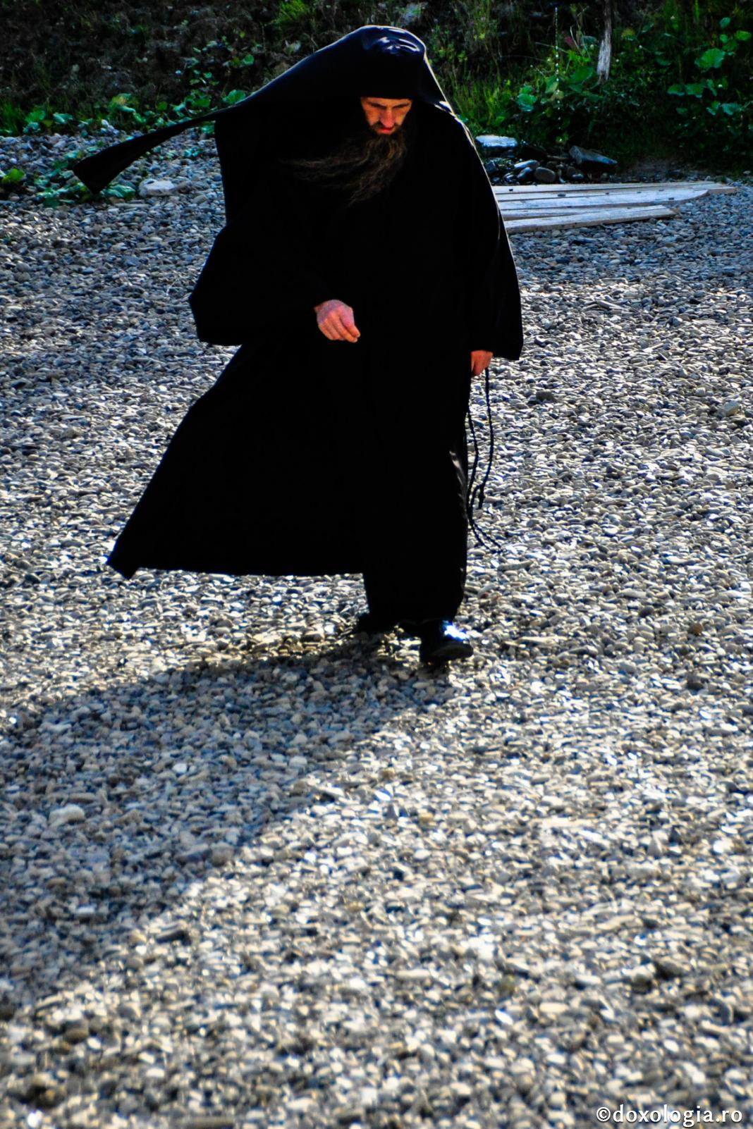 Nestatornicia inimii