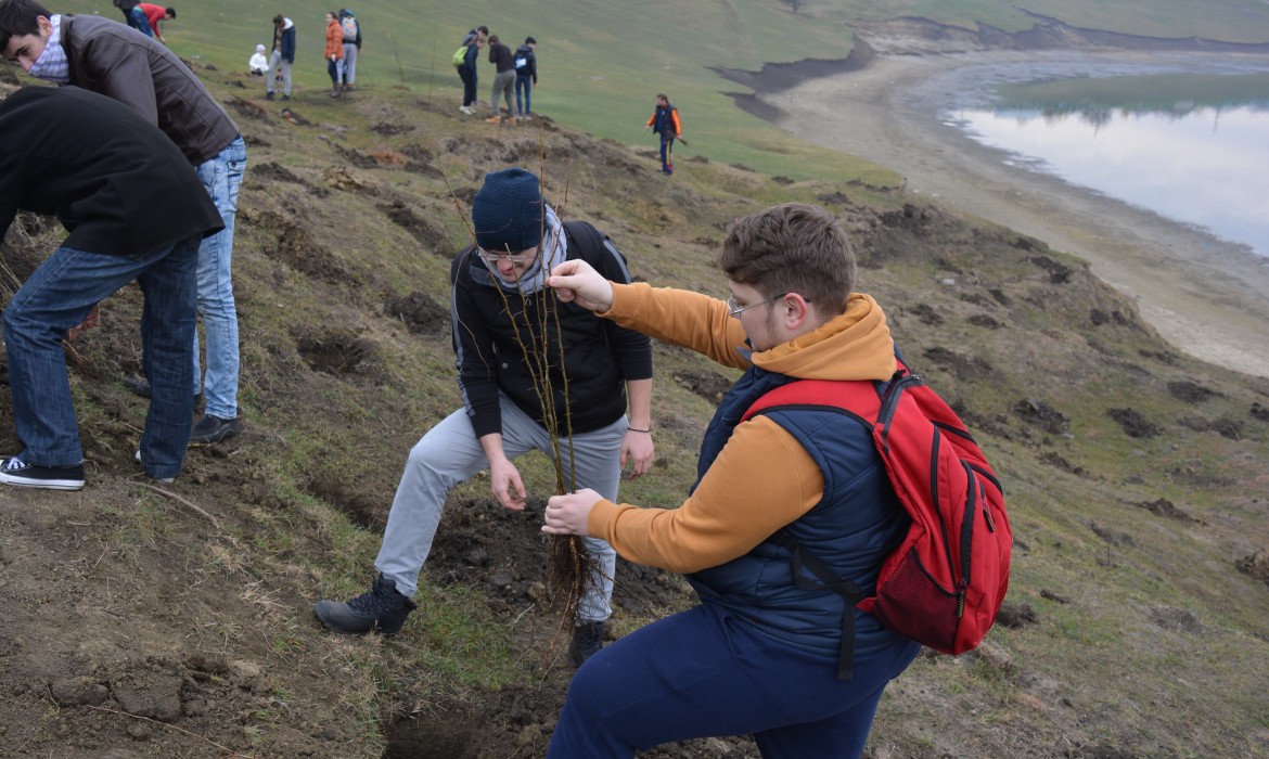 Colegiul „Sfântul Nicolae” a plantat „Fapte bune”