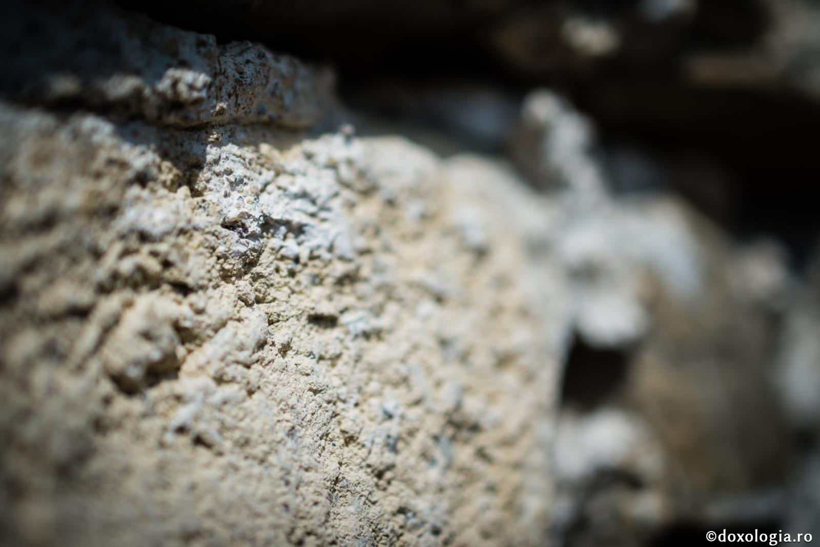 Până când propăşesc nedrepţii?