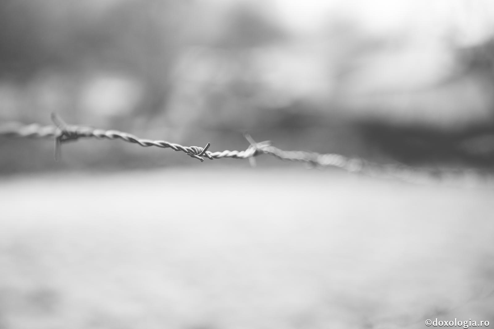 De ce nu sunt pedepsiți totdeauna cei răi?