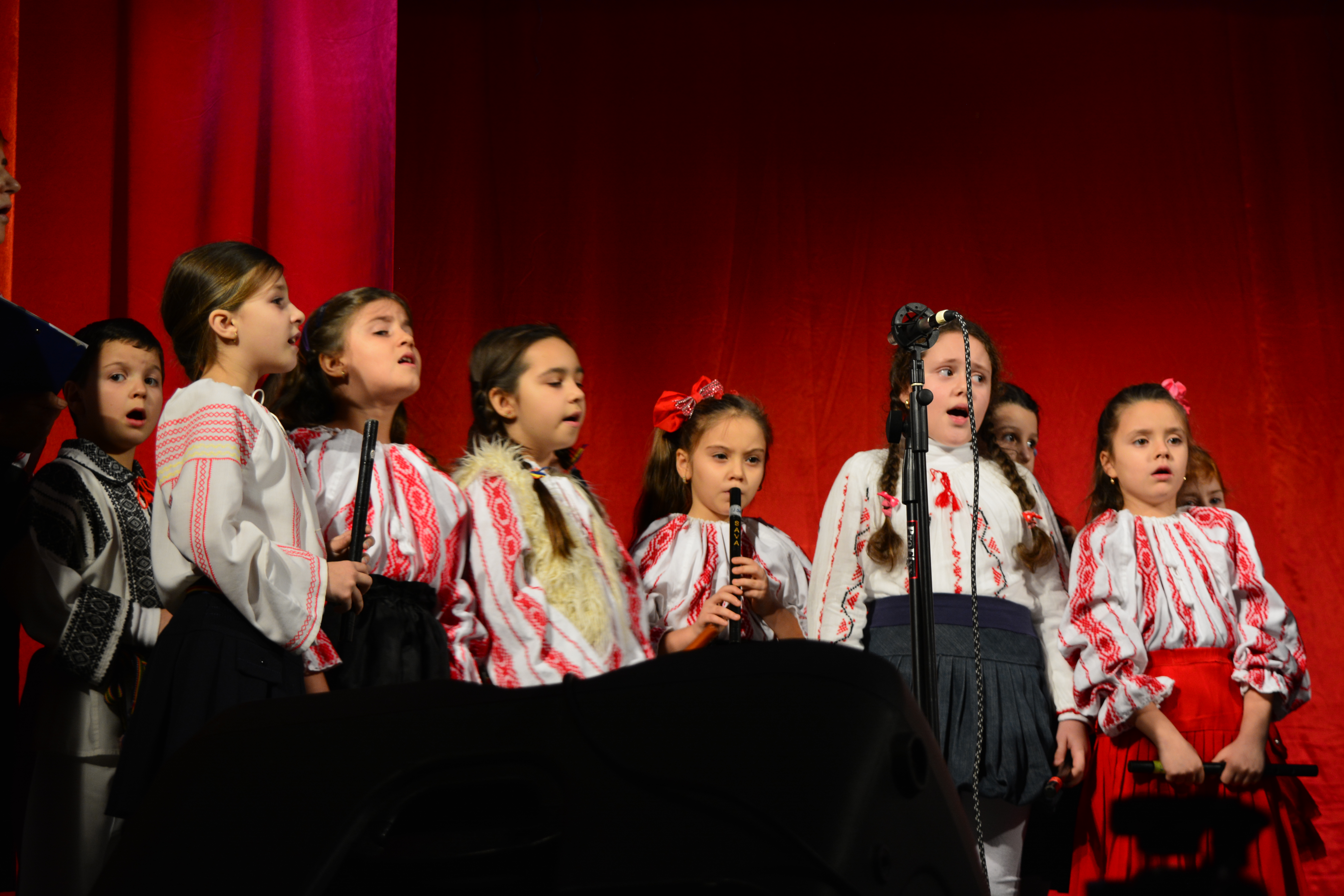 Concert caritabil realizat de elevii Seminarului Teologic Liceal „Sf. Ioan Iacob” Dorohoi