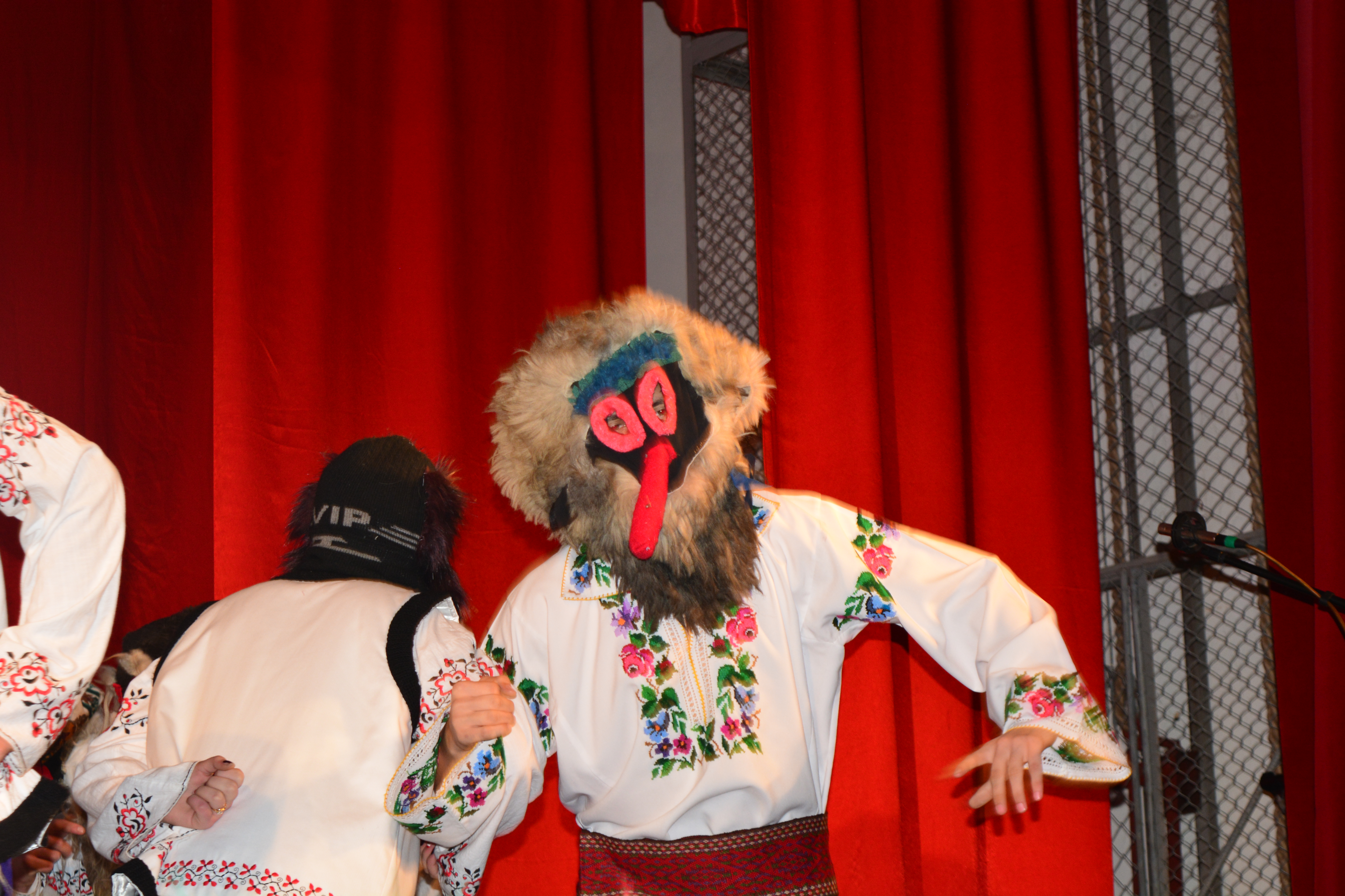 Concert caritabil realizat de elevii Seminarului Teologic Liceal „Sf. Ioan Iacob” Dorohoi