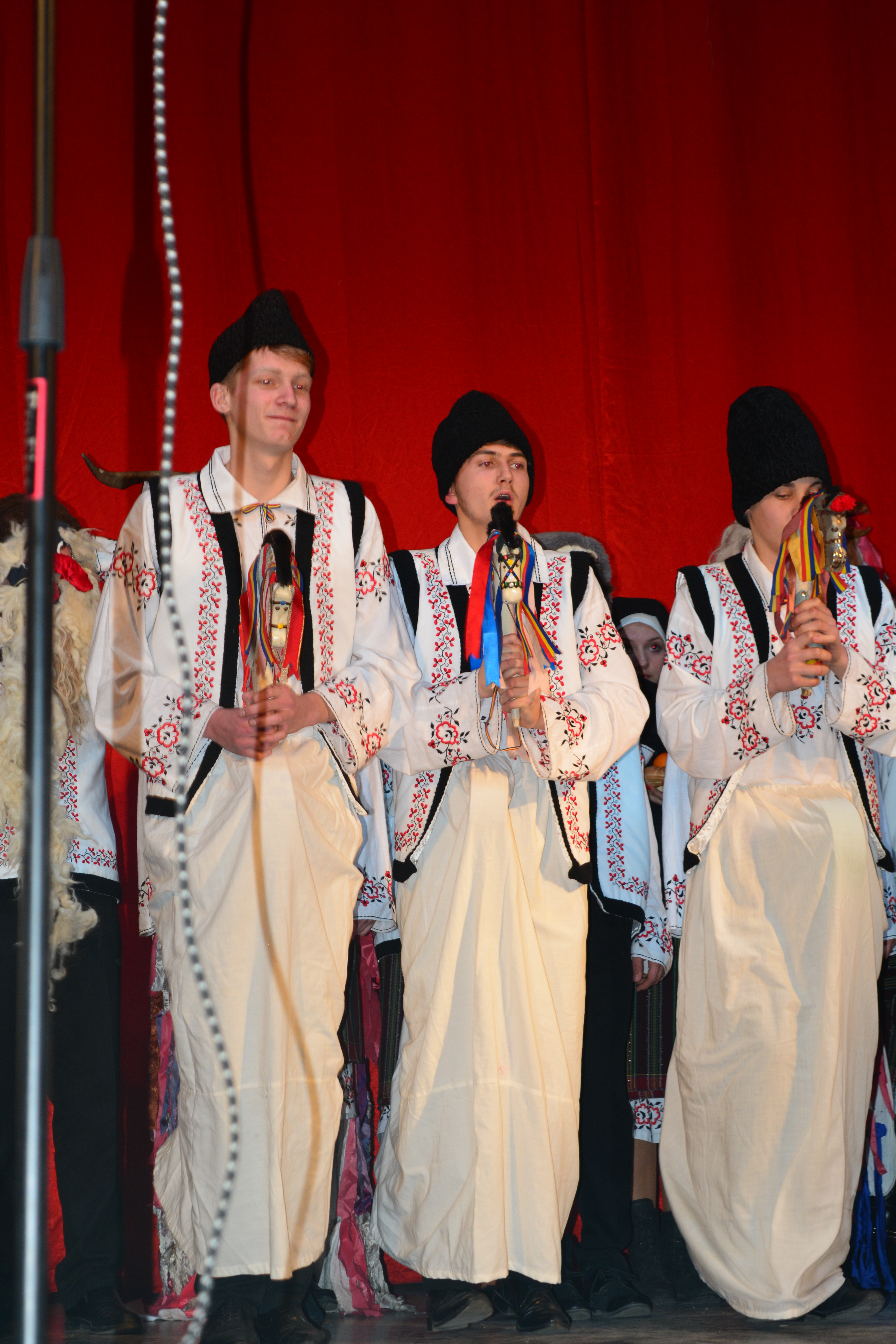 Concert caritabil realizat de elevii Seminarului Teologic Liceal „Sf. Ioan Iacob” Dorohoi