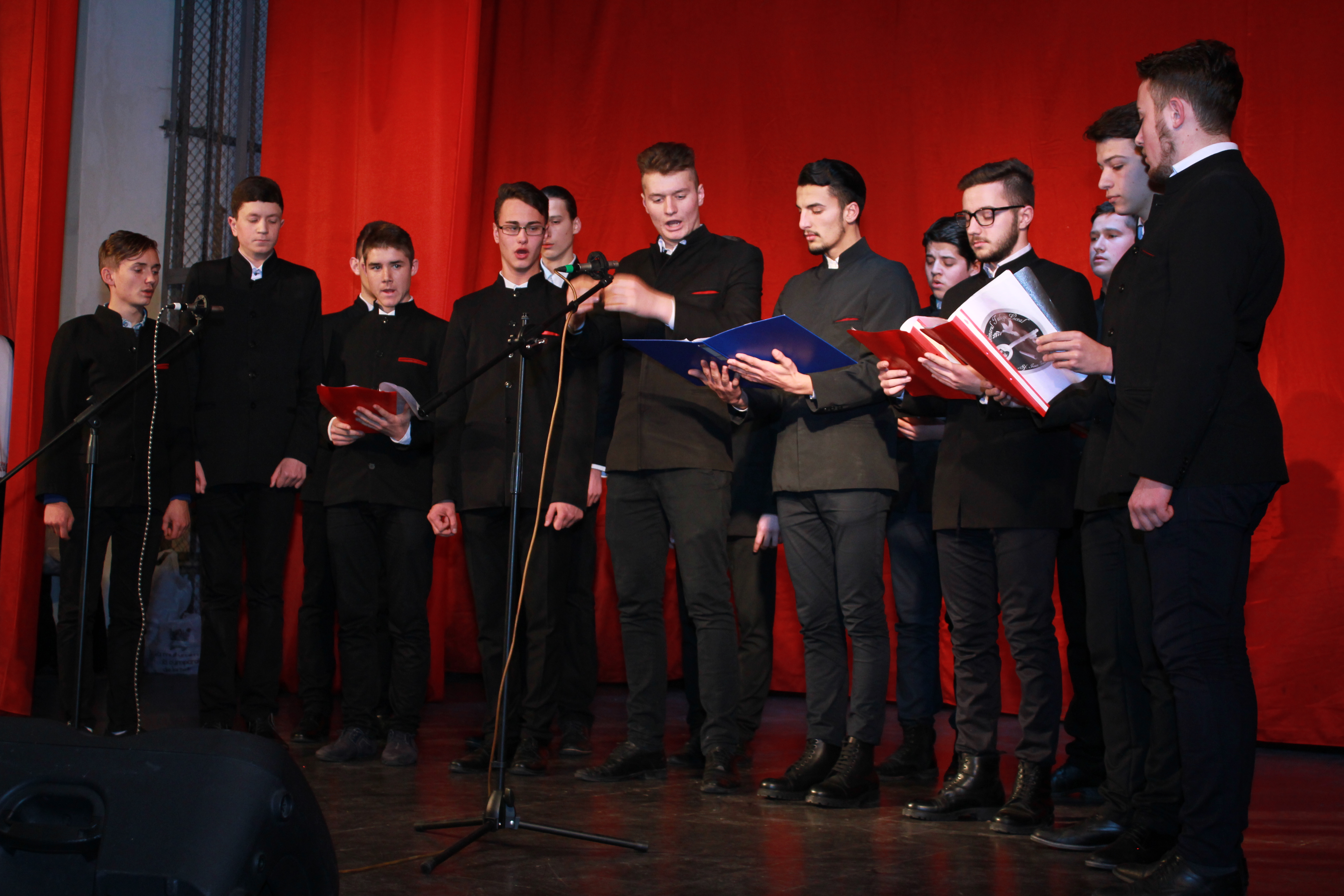 Concert caritabil realizat de elevii Seminarului Teologic Liceal „Sf. Ioan Iacob” Dorohoi