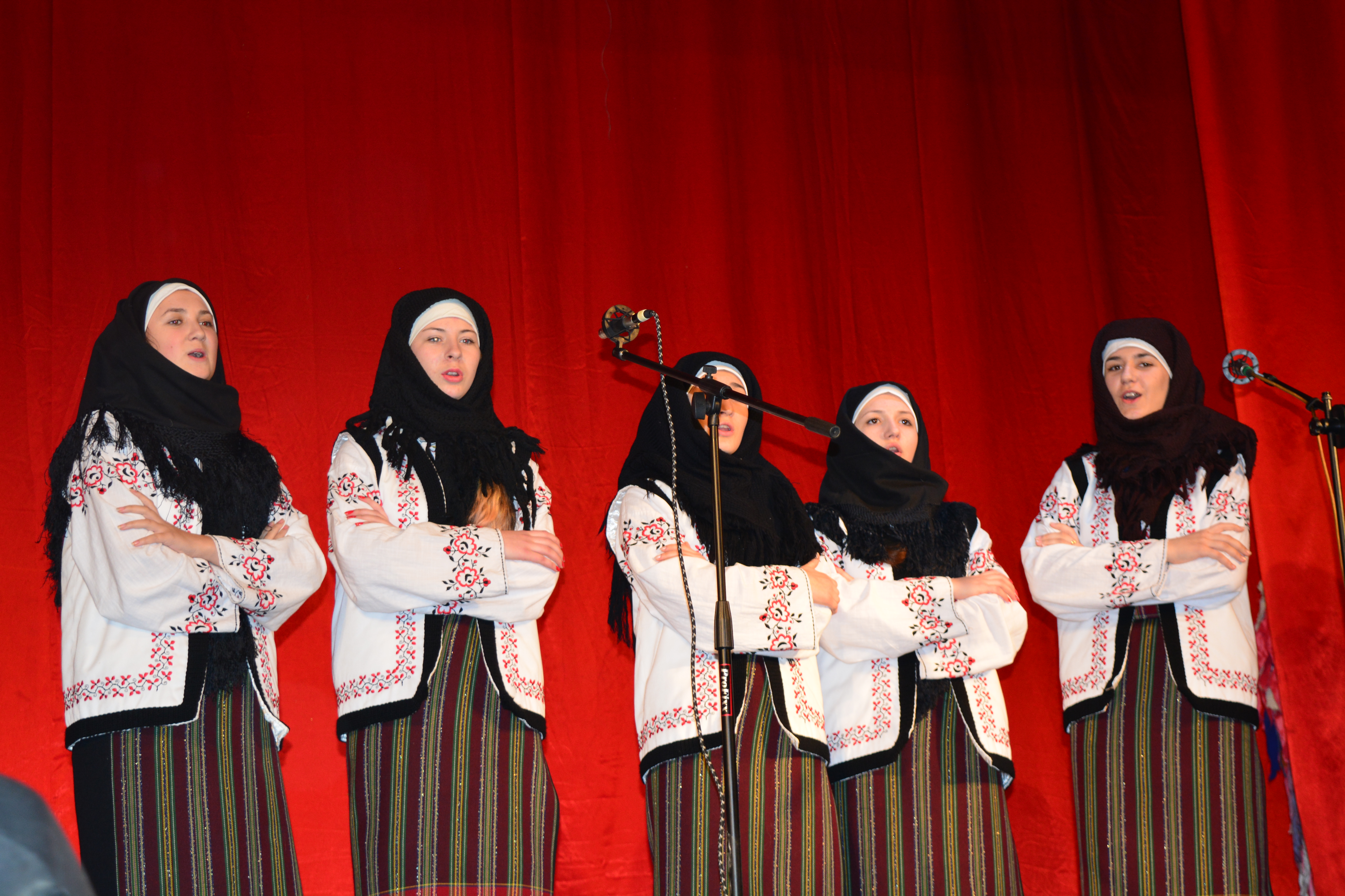 Concert caritabil realizat de elevii Seminarului Teologic Liceal „Sf. Ioan Iacob” Dorohoi