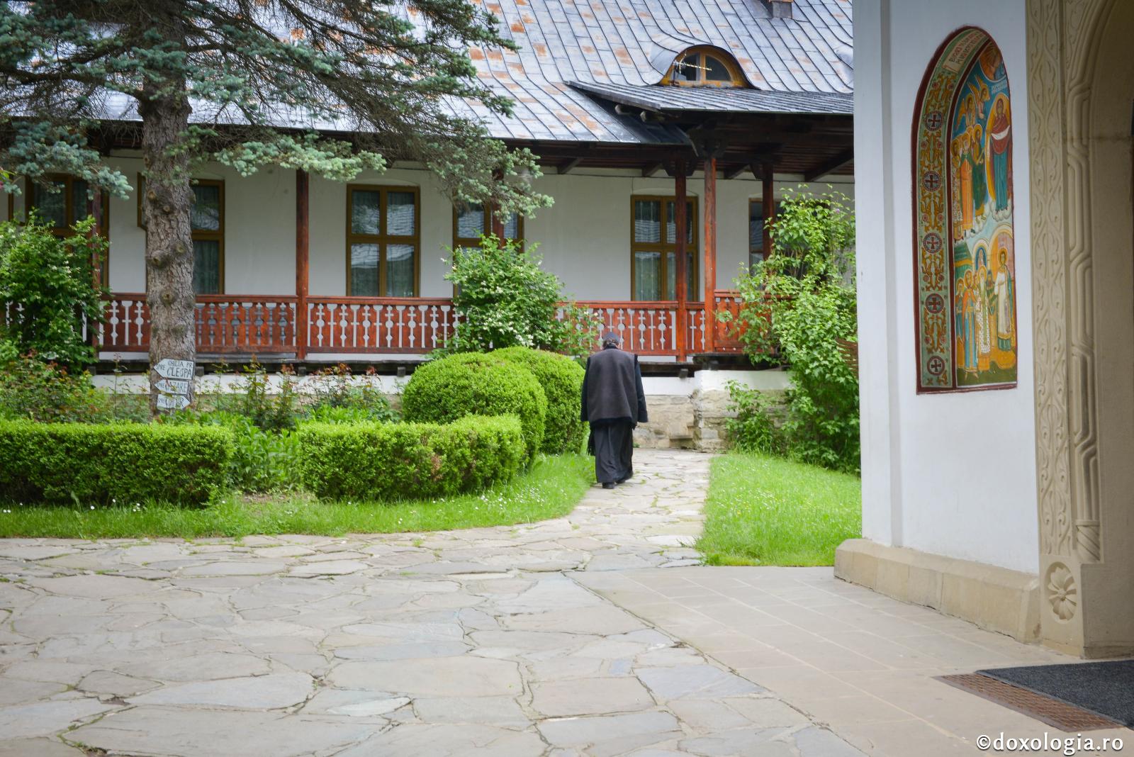 Tipuri de persoane pseudoduhovniceşti - Tipul primitiv, credulul