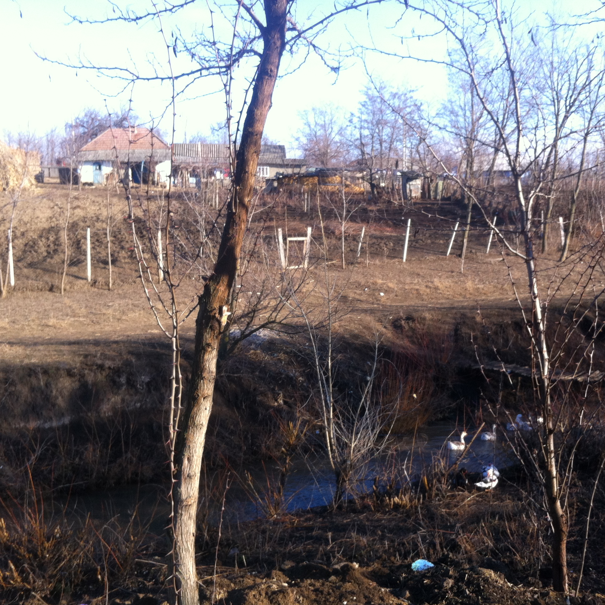 Daruri pentru copiii din Buruienești