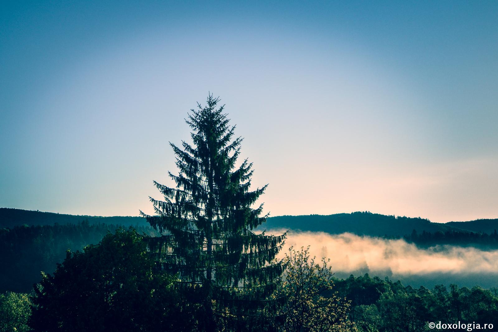 La început de zi - Scurtă călătorie către sine însuşi