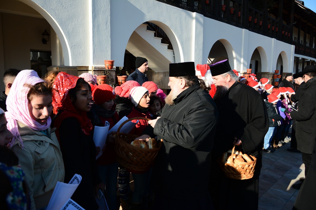 Clipe de bucurie în dealul Hadâmbului Clipe de bucurie în dealul Hadâmbului
