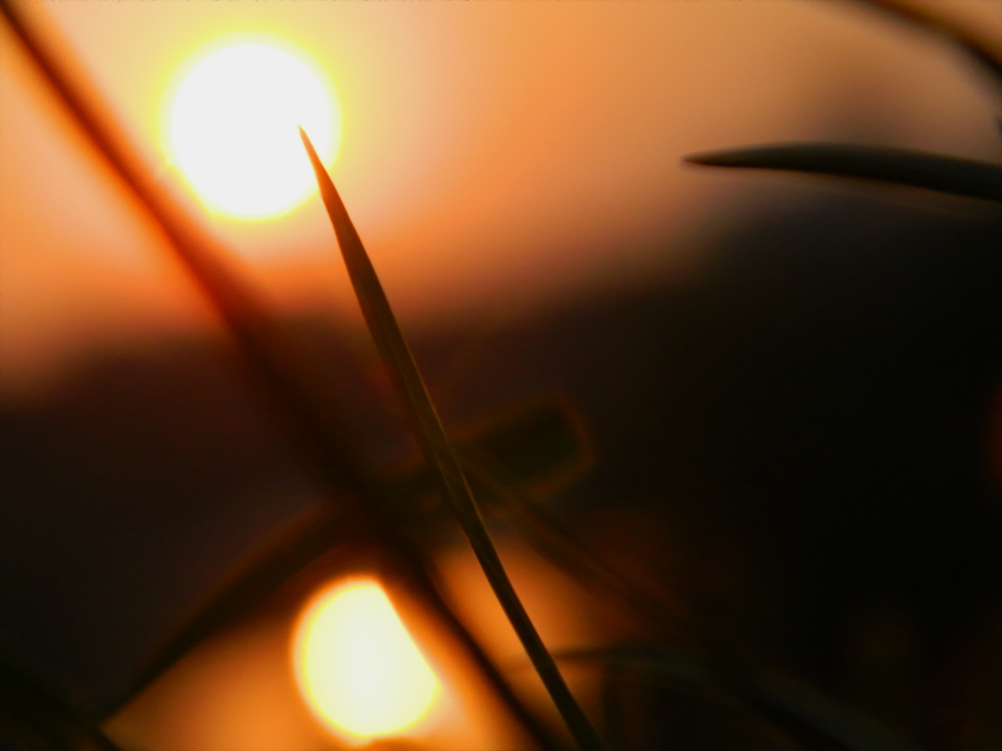 Despre boală și credință, cu Părintele Policarp de la Bisericani