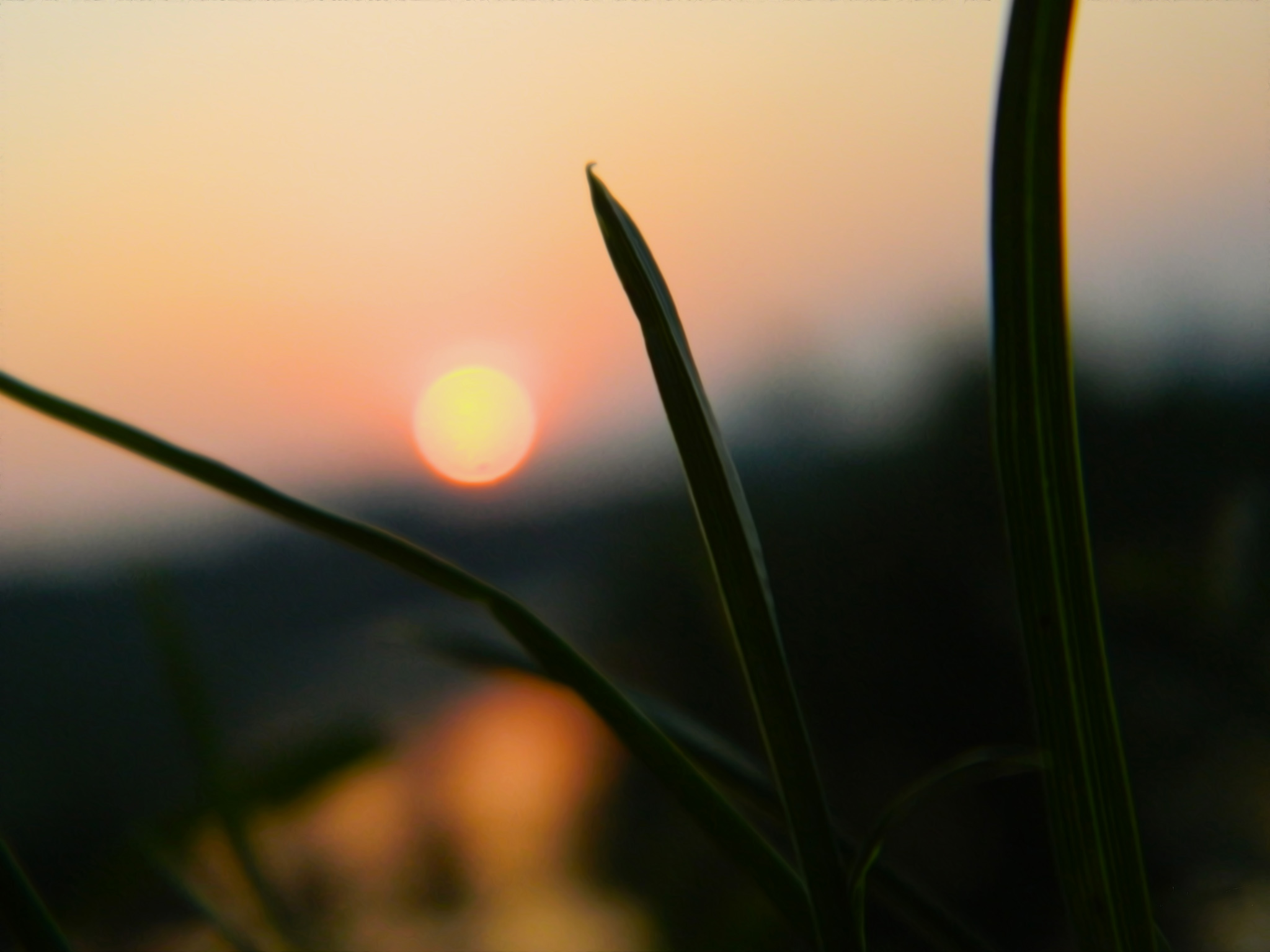 Cine a ajuns la cunoașterea slăbiciunii sale a ajuns la adâncul smereniei.