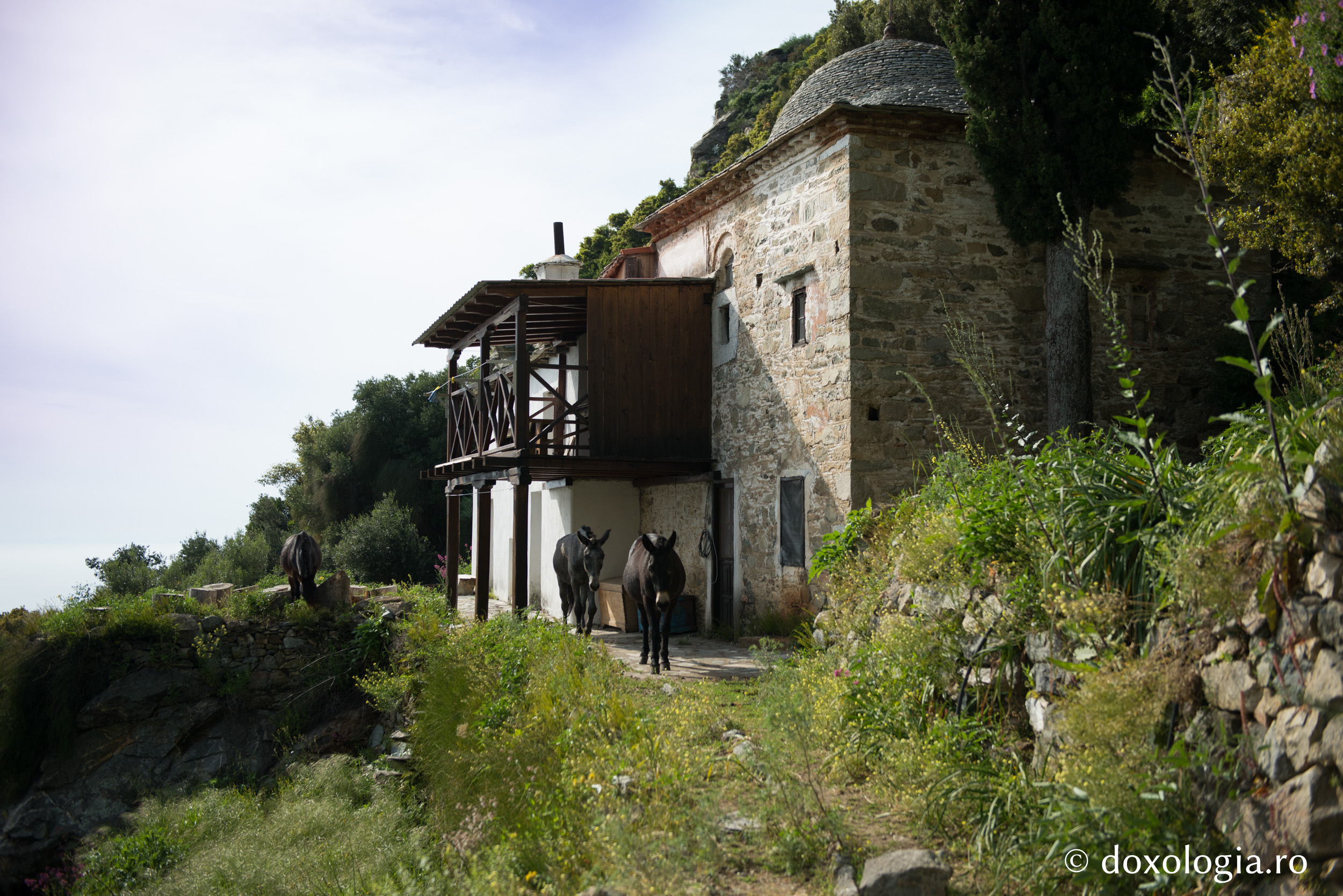 Kathisma „Adormirea Maicii Domnului” a Mănăstirii Grigoriu / Foto: Pr. Silviu Cluci Kathisma „Adormirea Maicii Domnului” a Mănăstirii Grigoriu