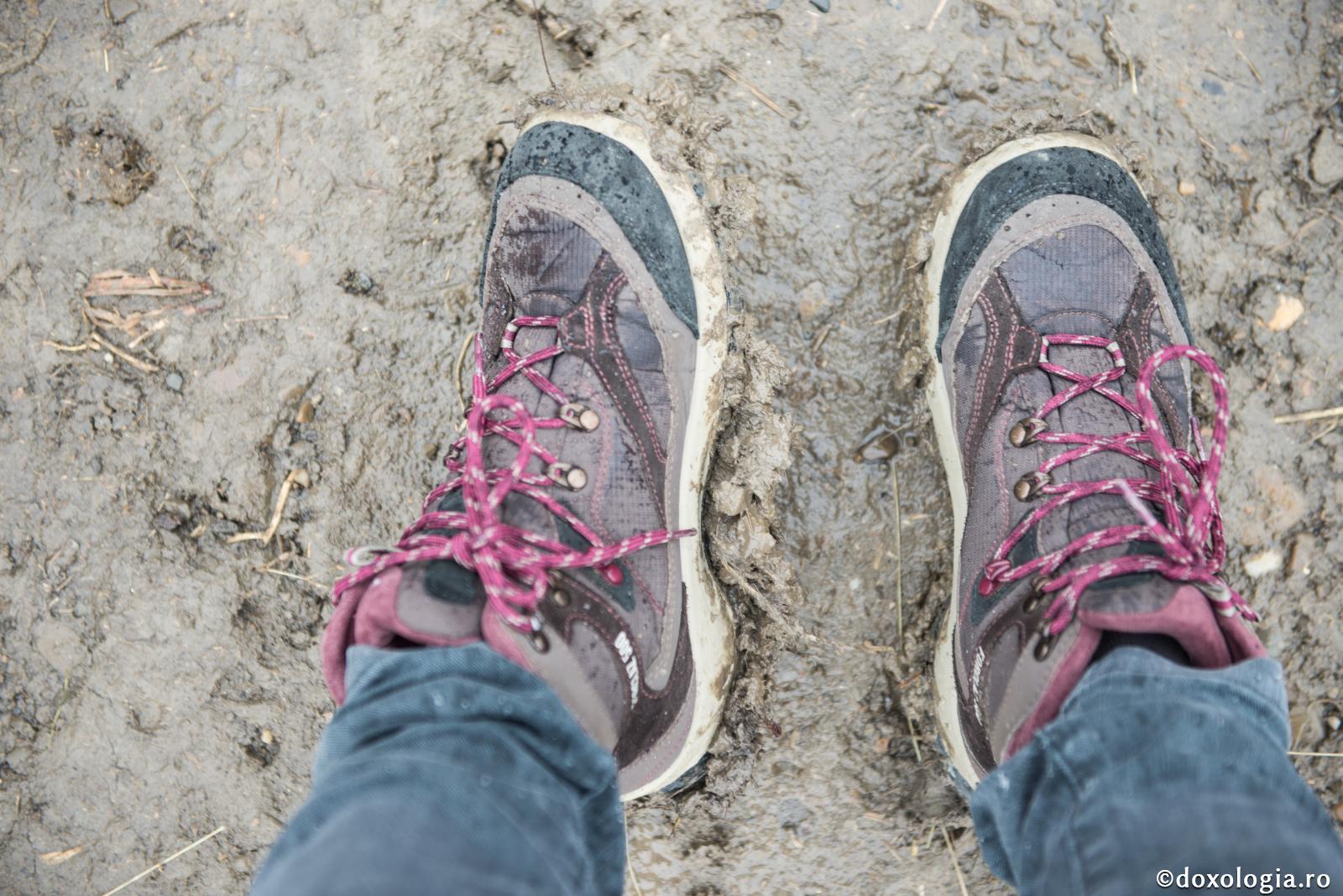 Mocirla păcatului...