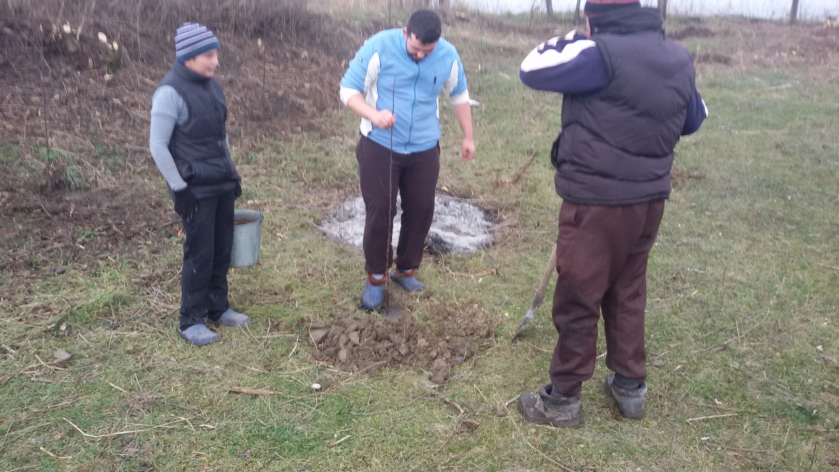 Proiectul „Plantăm fapte bune”, în Parohia Chișcăreni