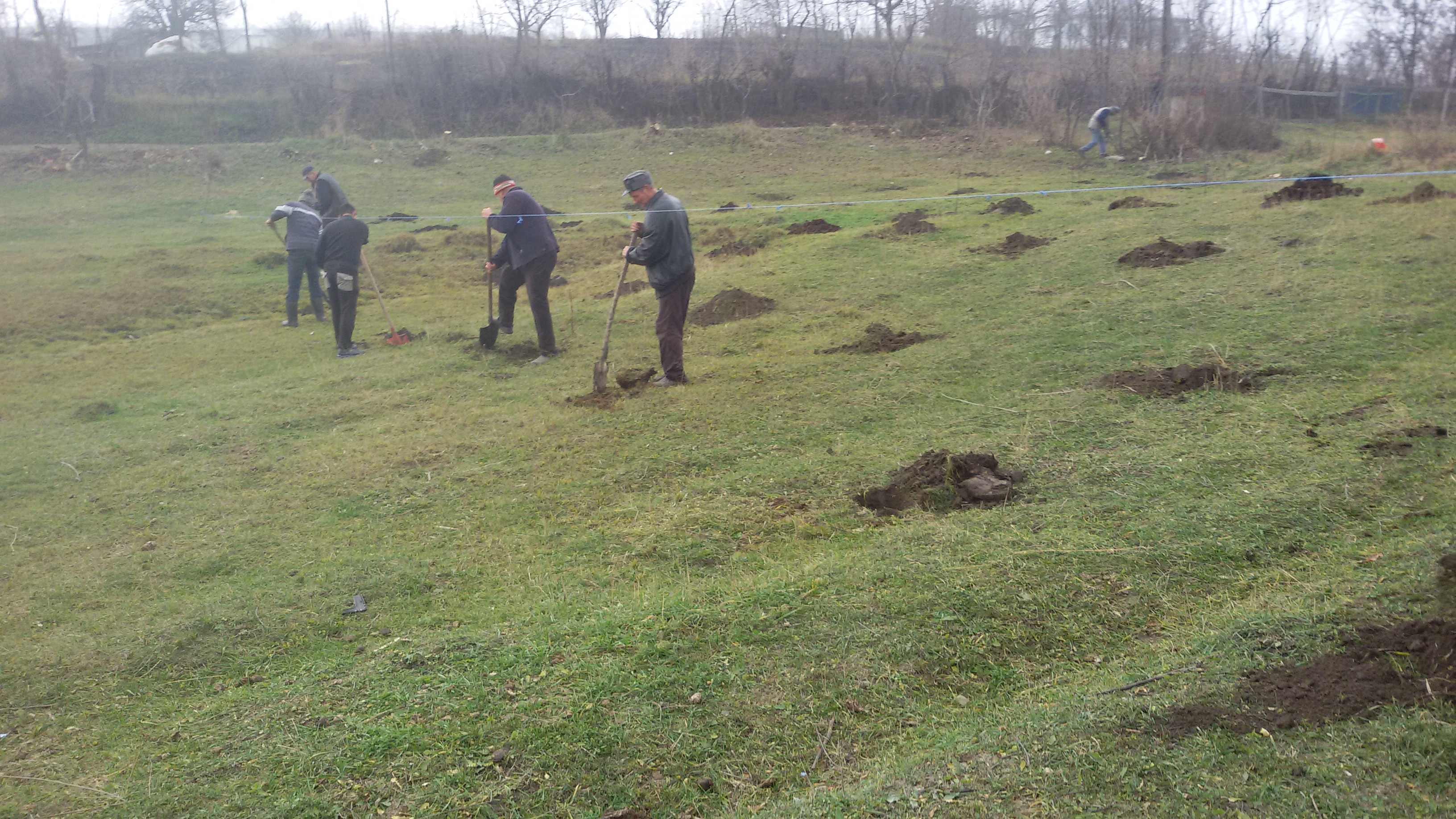 Proiectul „Plantăm fapte bune”, în Parohia Chișcăreni