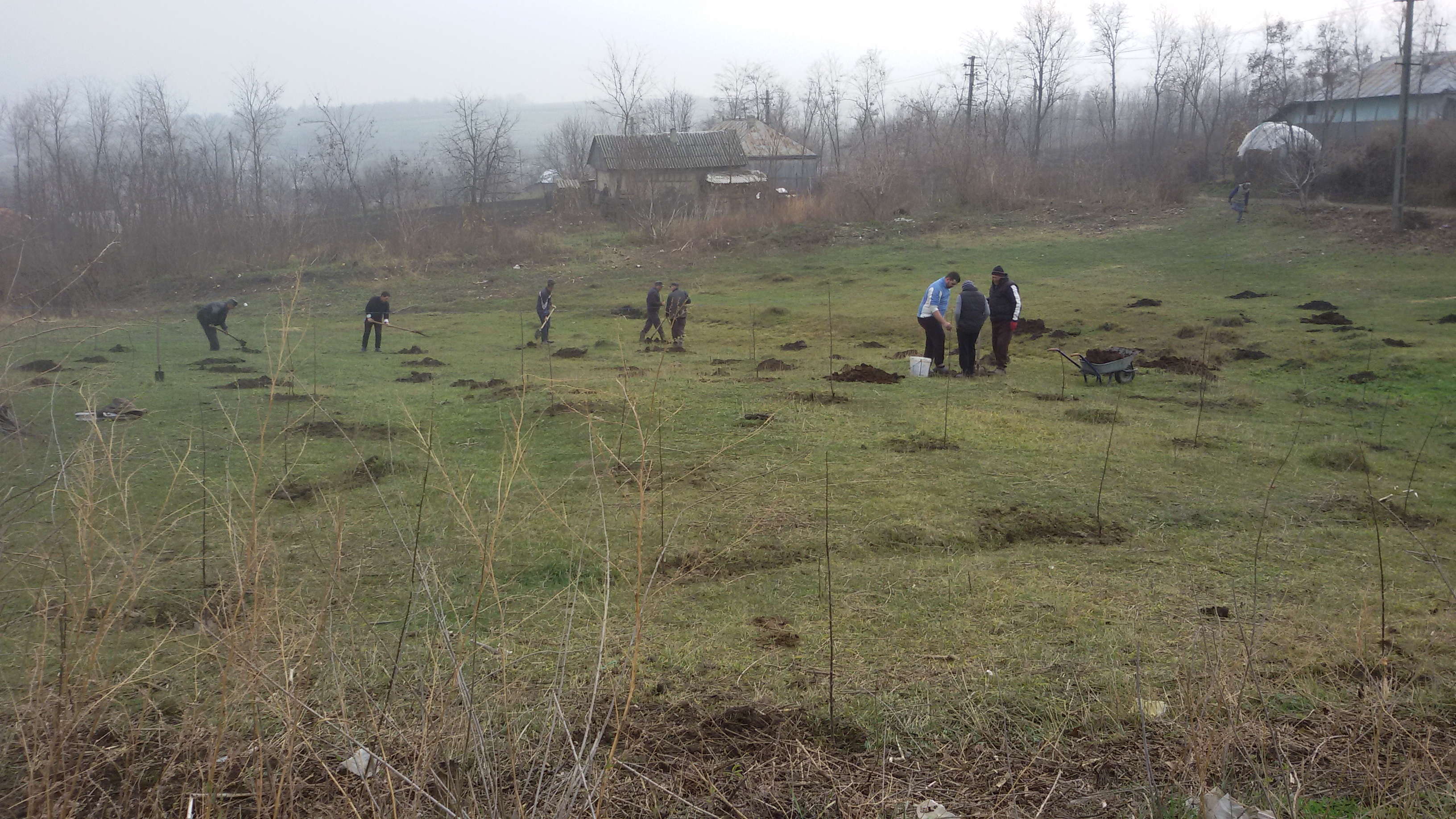 Proiectul „Plantăm fapte bune”, în Parohia Chișcăreni