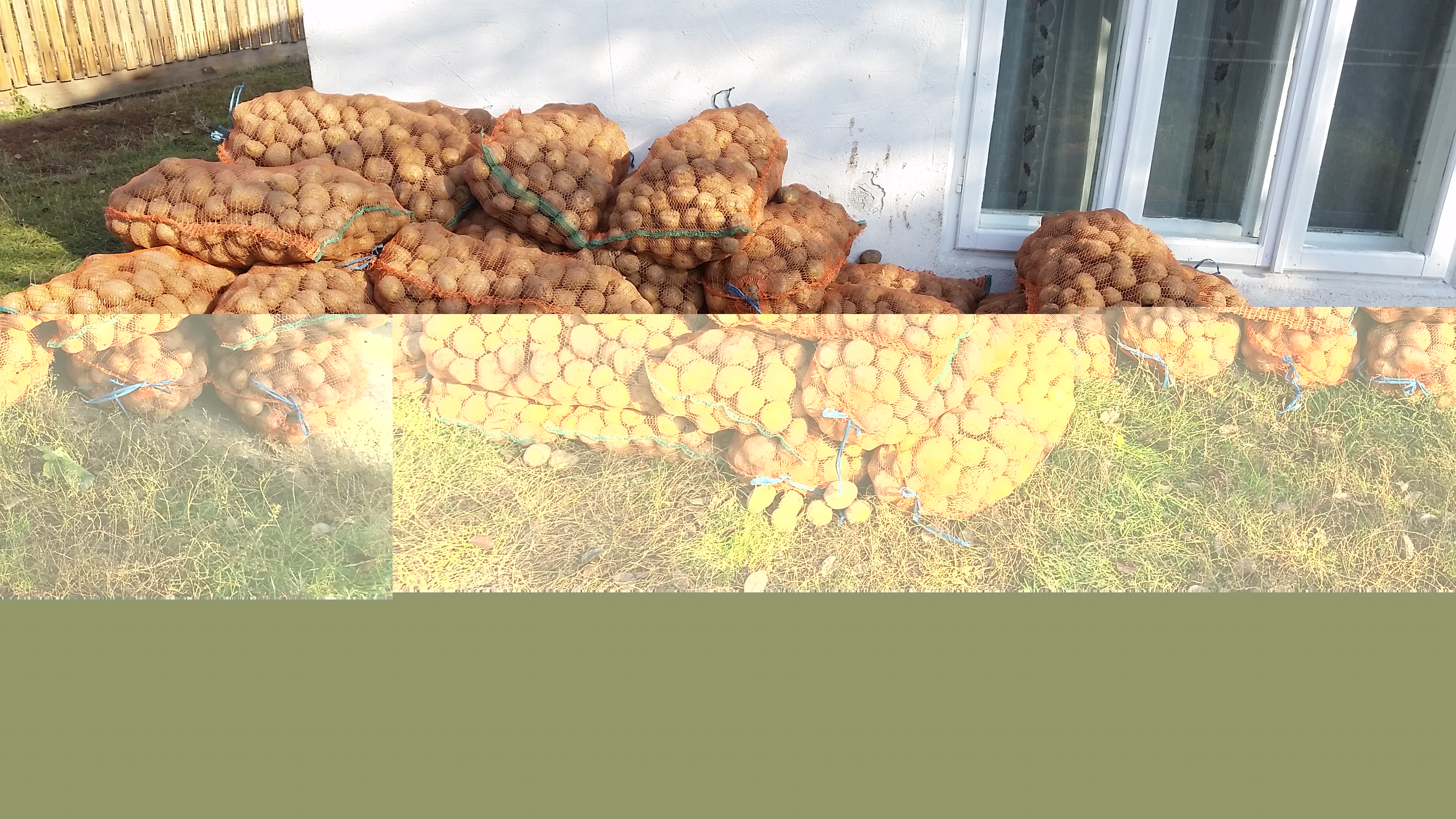 Proiect social-filantropic în Parohia Poiana - Brăești