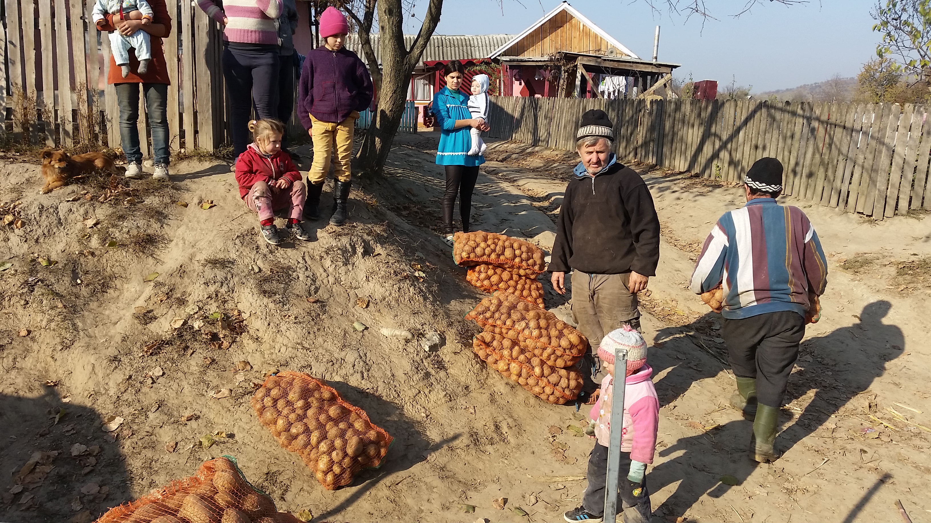 Proiect social-filantropic în Parohia Poiana - Brăești