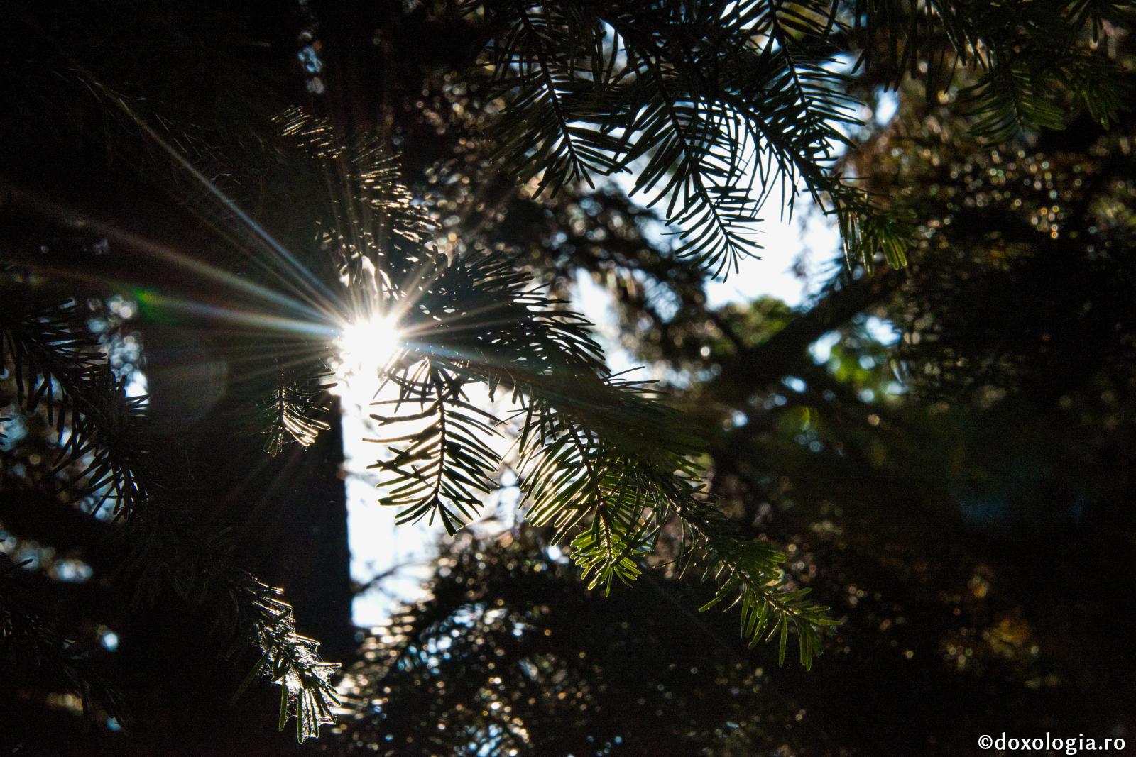 Dacă lumina din mine este întuneric?!