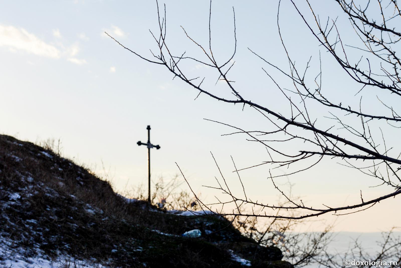 Din frumuseţea luptelor de fiecare zi