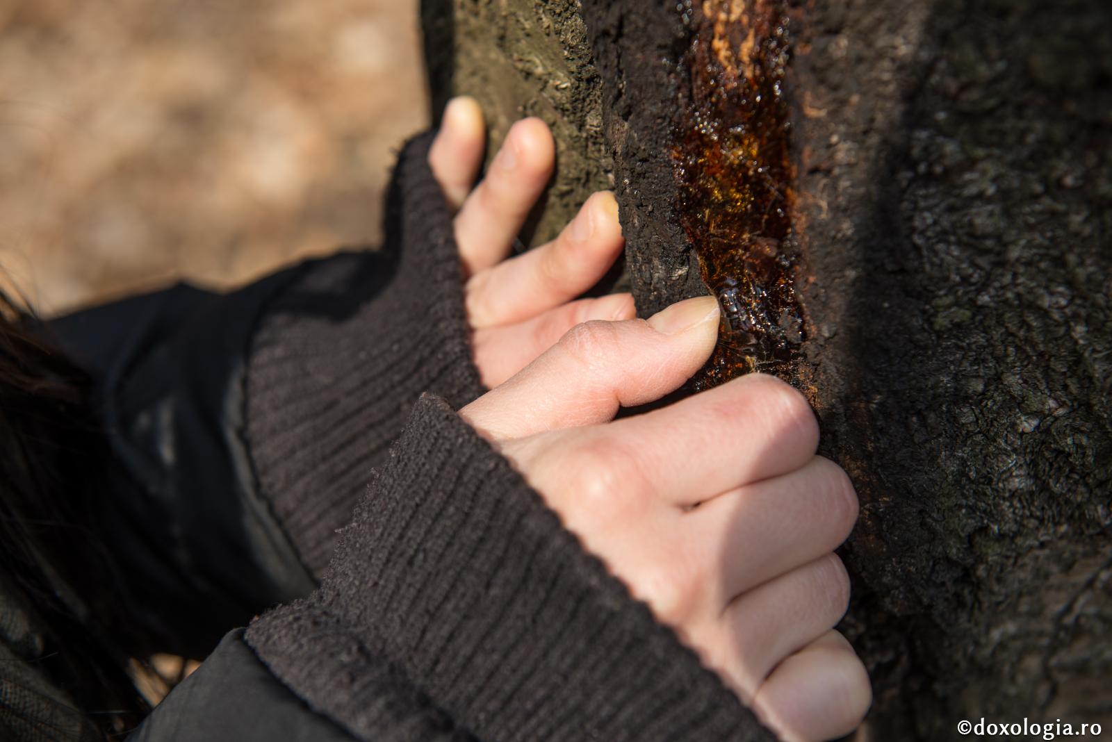 Cele opt gânduri din care vine tot ce-i rău