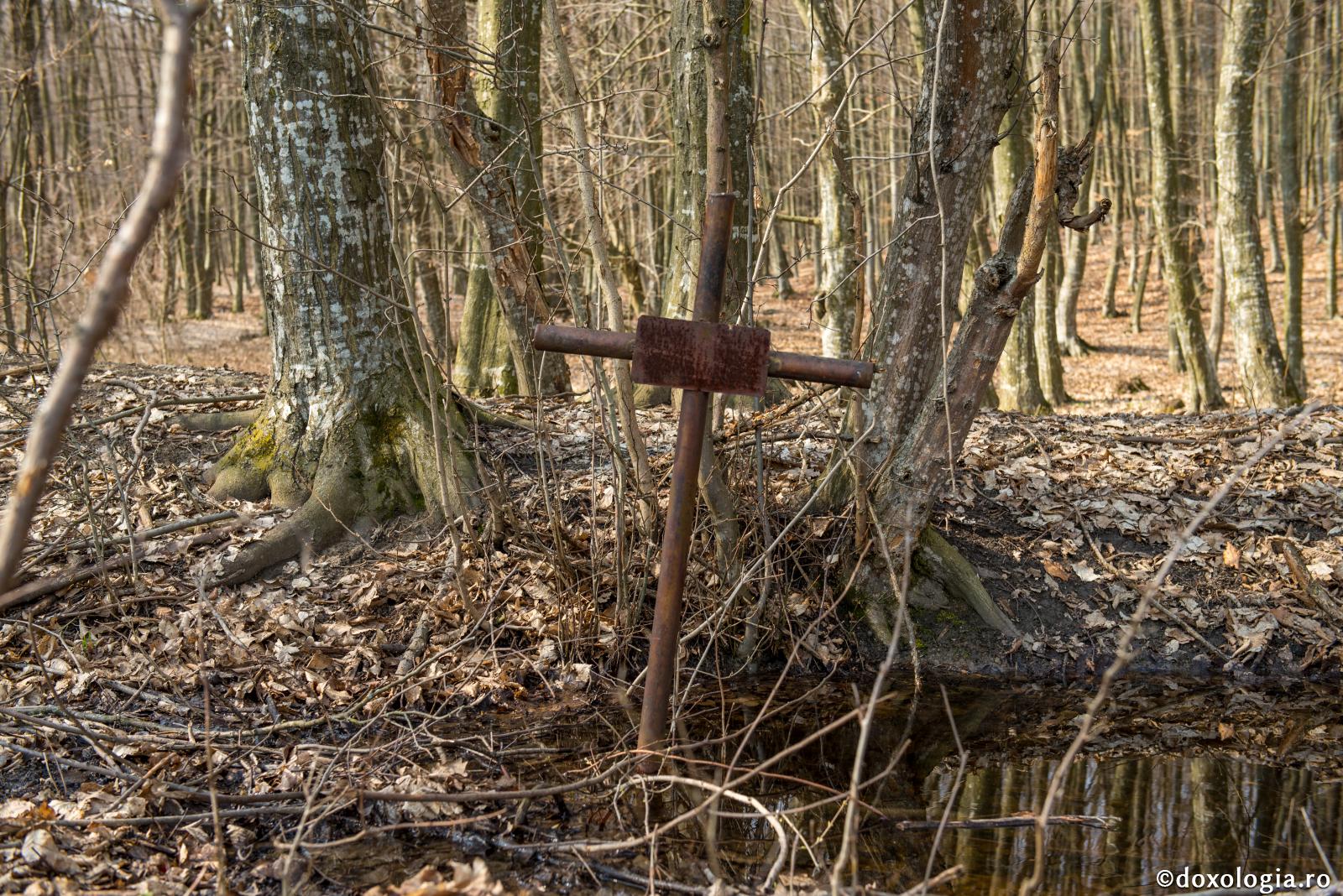 Așa cum trăiești vei și muri – în pace sau în război?
