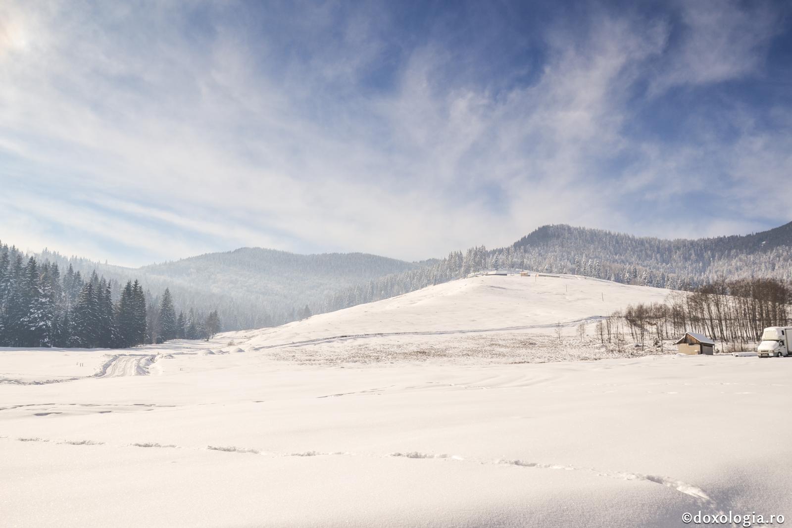 Lumina care stă în durere este leacul acesteia