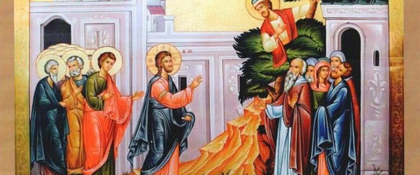 Predică la Duminica a XXXII-a după Rusalii - a lui Zaheu - IPS Irineu Pop-Bistriţeanul