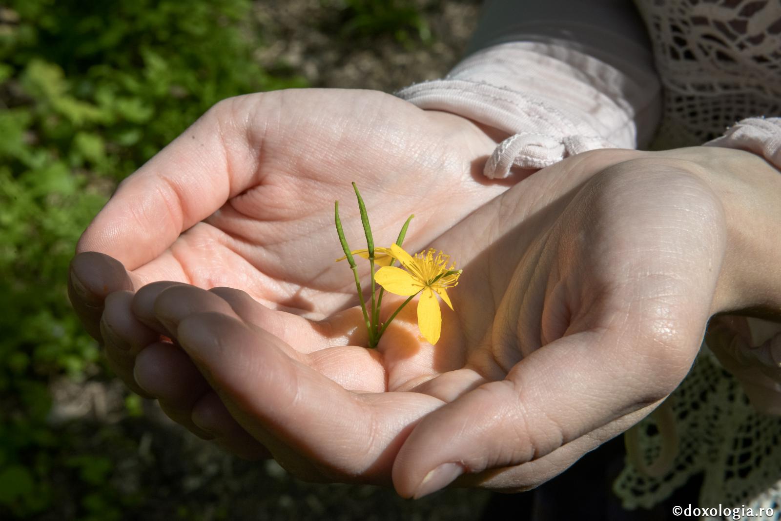 Domnul se odihneşte în inimile simple