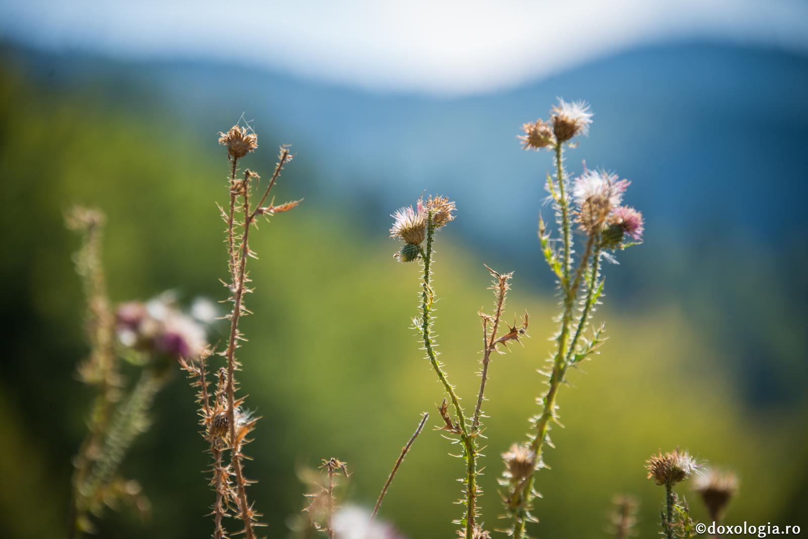 Desfrânarea îi aruncă departe de Dumnezeu pe lucrătorii ei