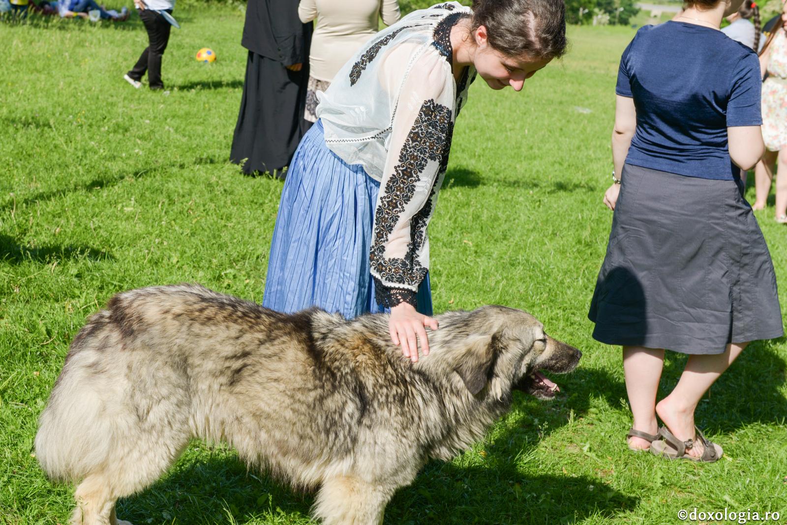 Diferenţa dintre iubire şi ataşament