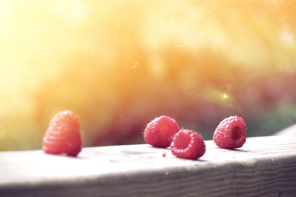 Postul - terapie a lăcomiei pântecelui?