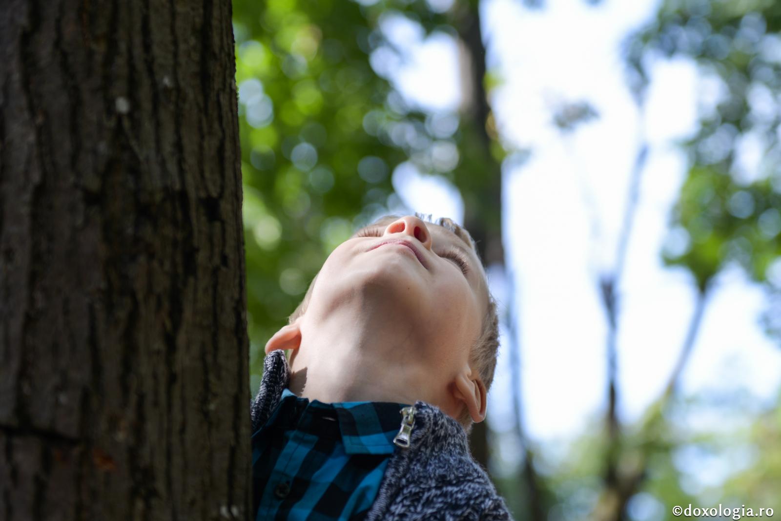 Bucuria ‒ cea mai mare mulțumire adusă lui Dumnezeu