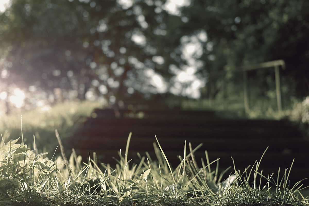 Prin căderea noastră, sufletul omului a căpătat aplecare spre tot ce este stricăcios