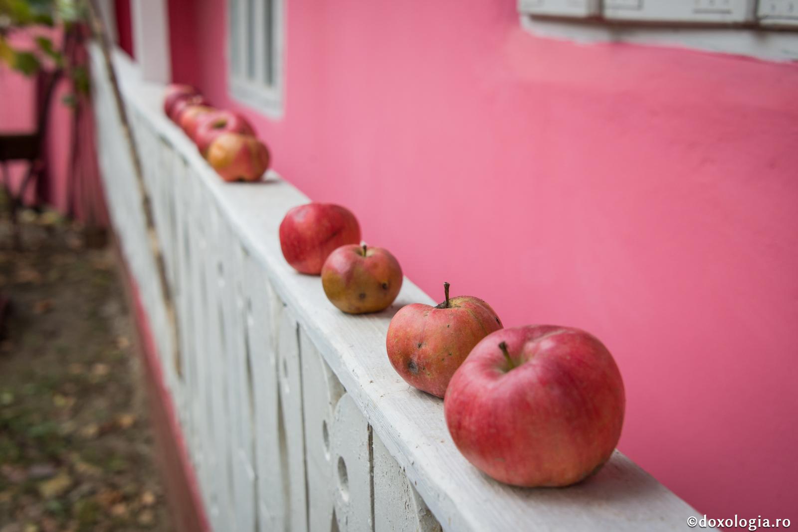 Oamenii sunt ca merele