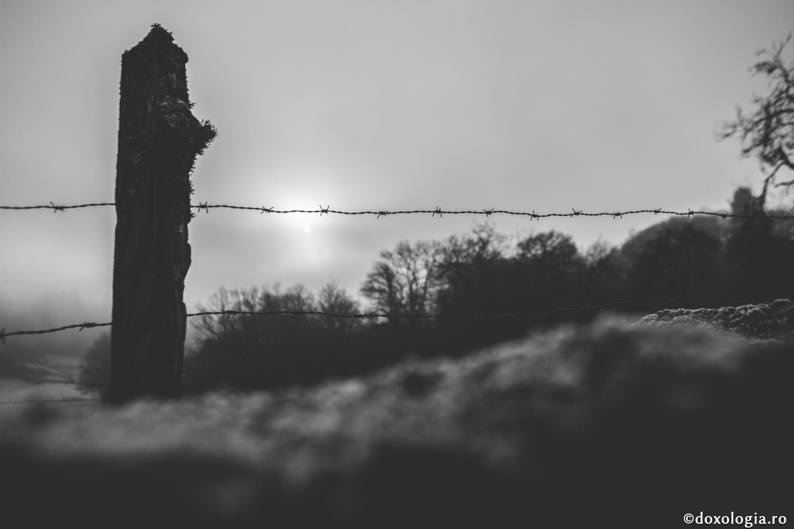 De unde vine melancolia?