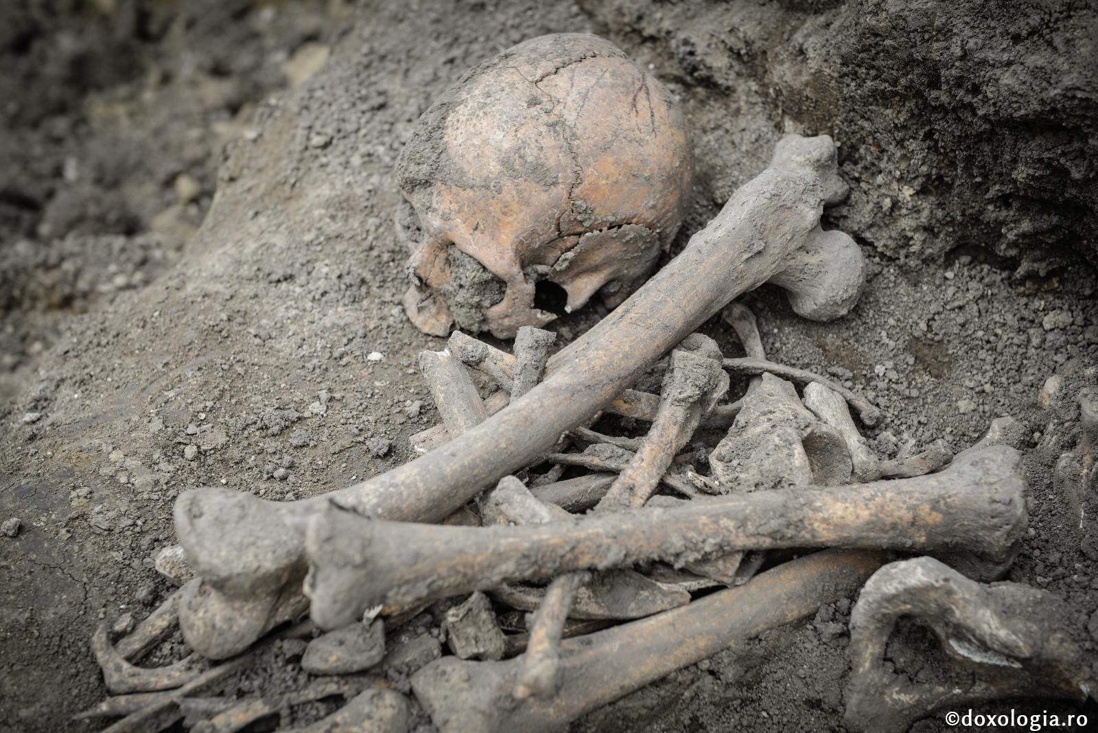 Au poluat atmosfera, iar acum dau vina pe oase