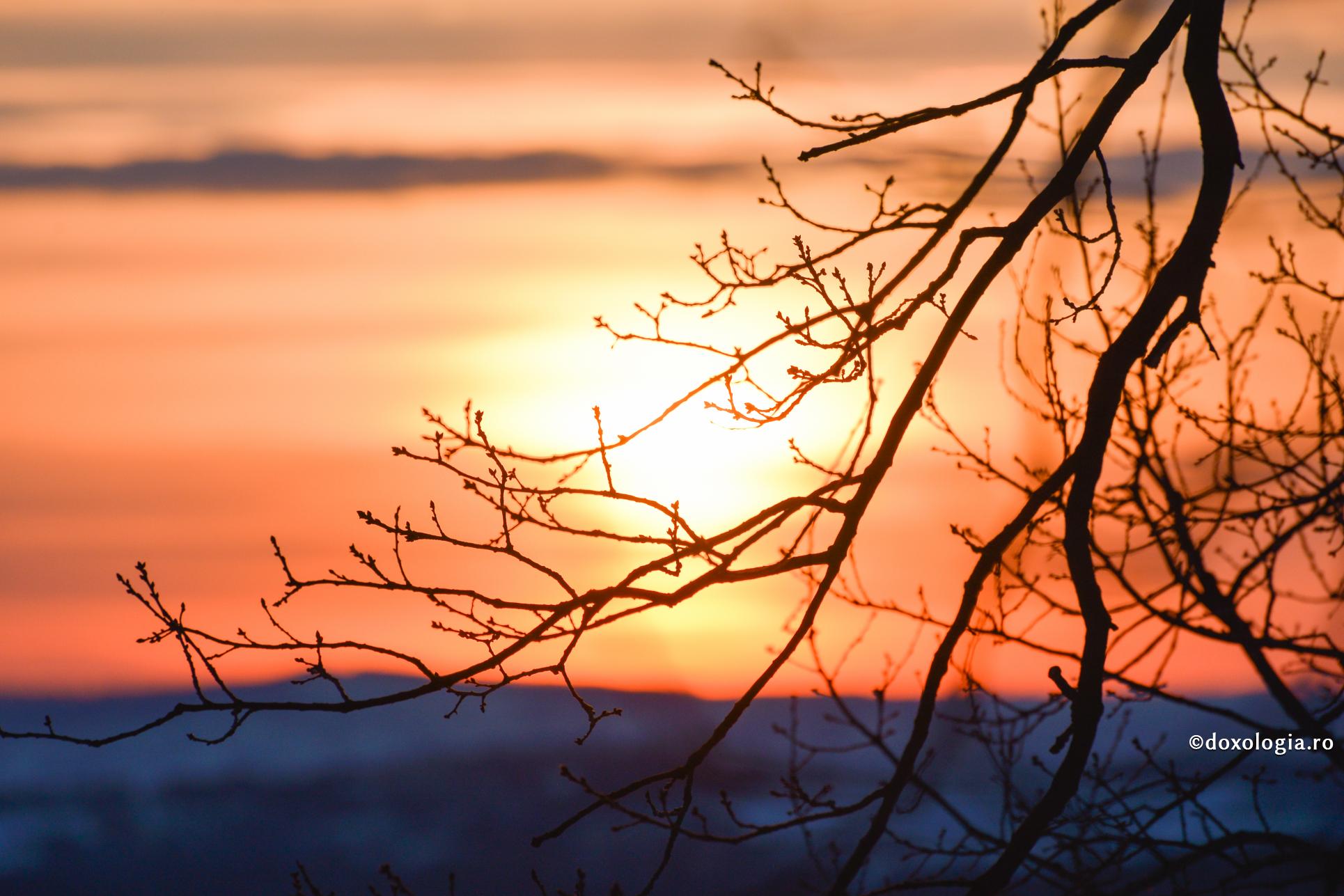 Păcatul este încăpăţânarea omului de a trăi cu spatele la Rai