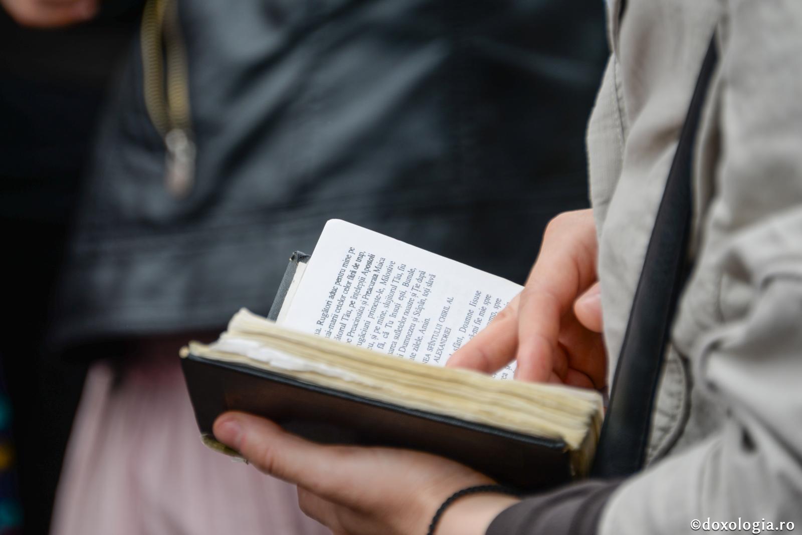 Orice pravilă este bună