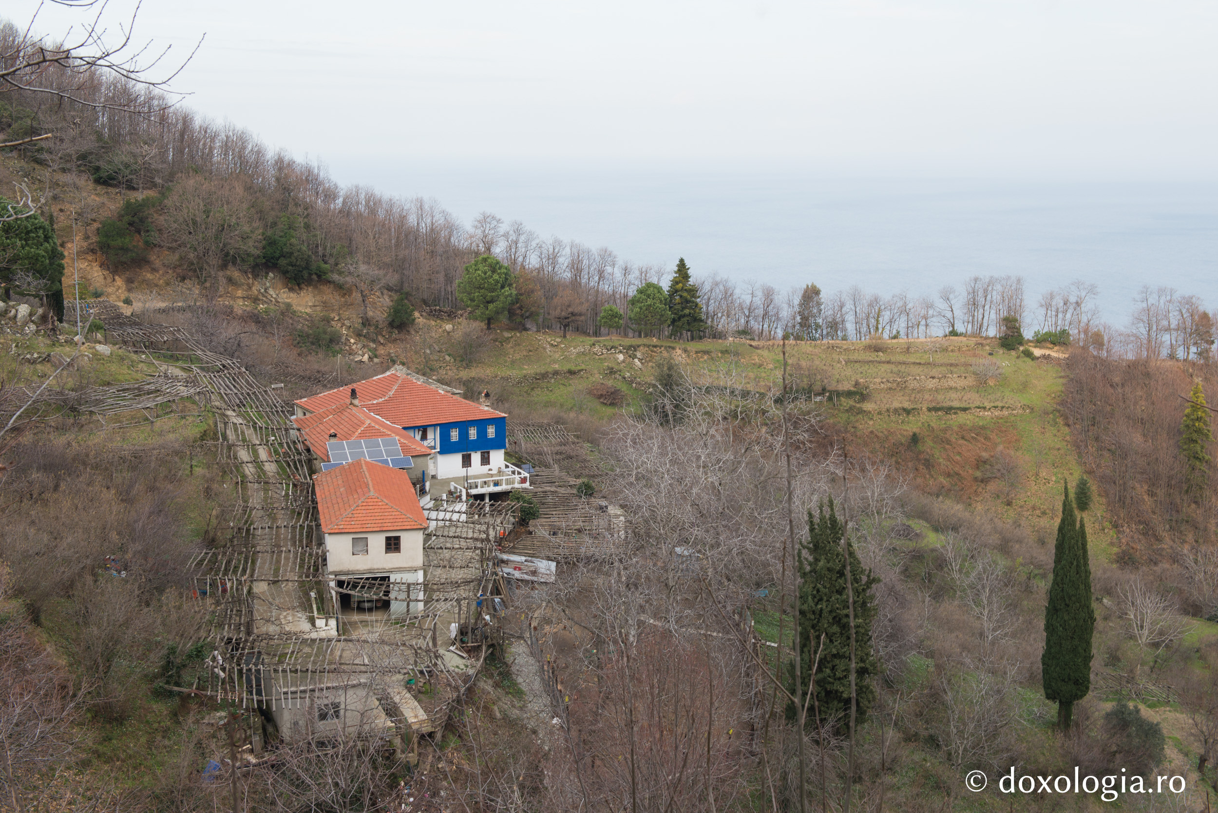 Sihăstria Provata – Athos