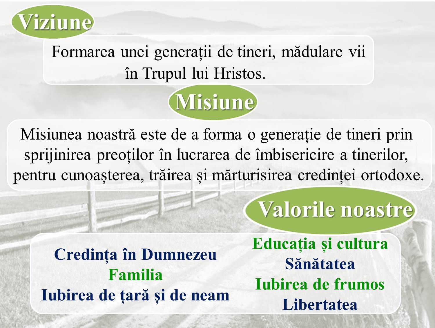 Departamentul de Misiune pentru Tineret, invitat la ședința lunară din Protopopiatul Botoșani