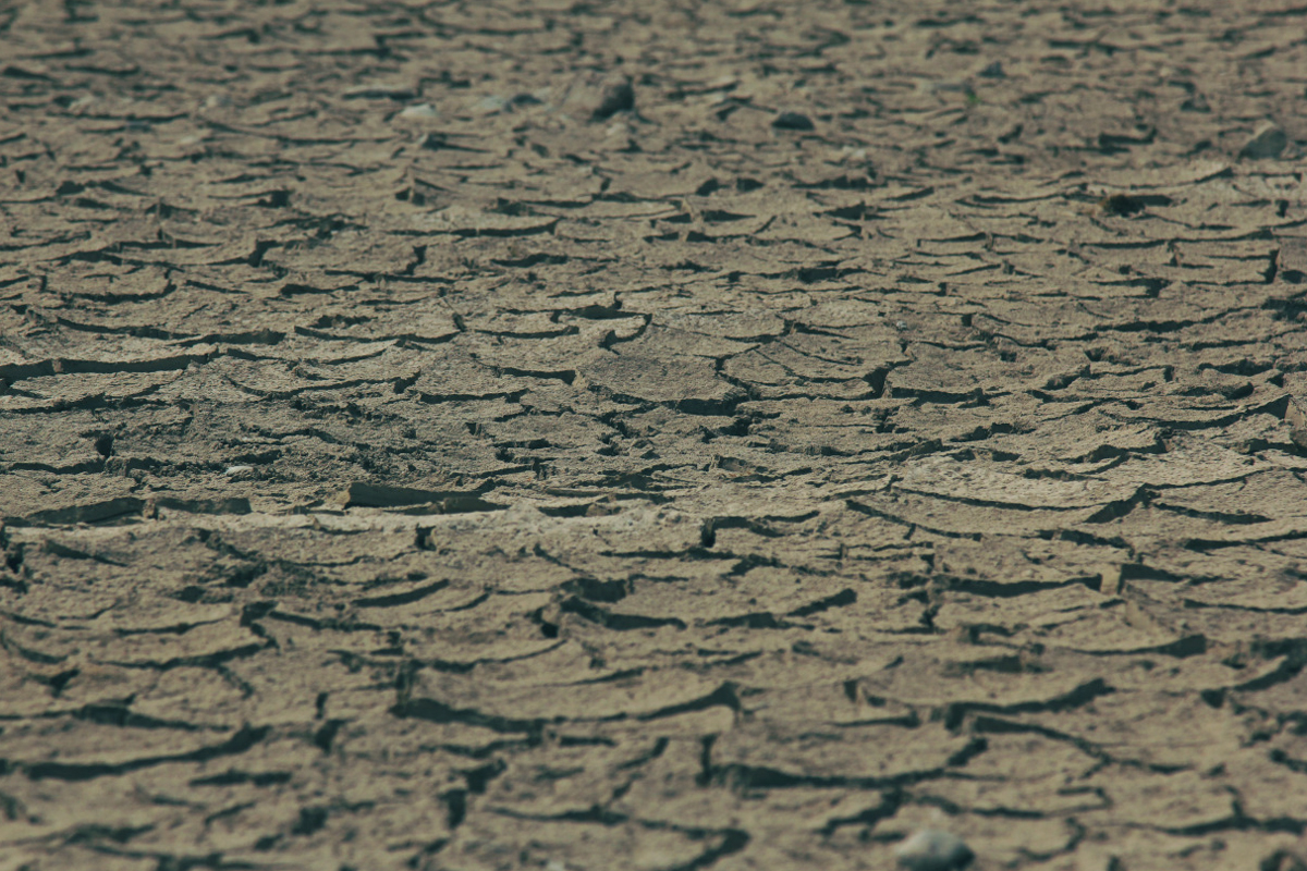 Pământul fără ploaie se usucă şi nu mai rodeşte