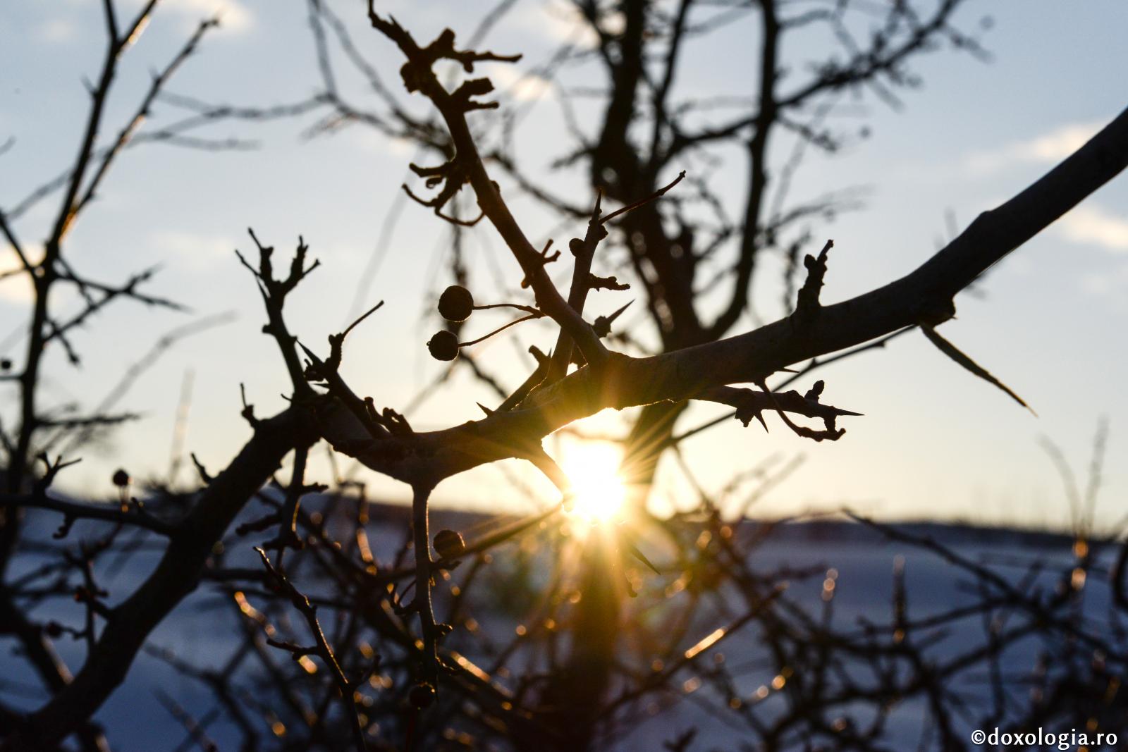 Lumea aceasta se aseamănă cu noaptea, iar cea viitoare cu ziua