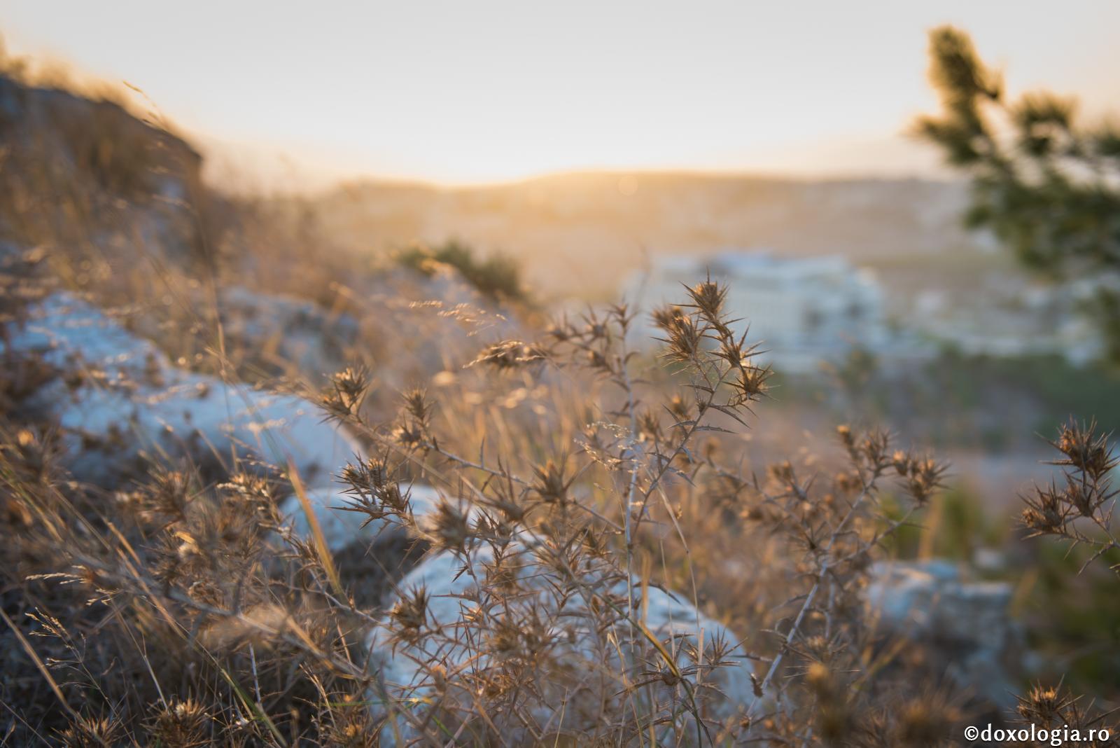 Cel ce este stăpânit de păcate