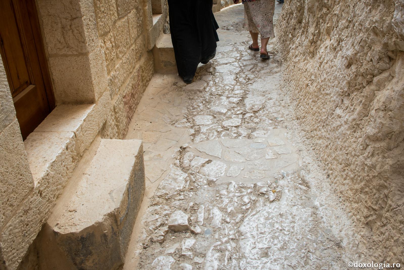 Ispitele sunt îngăduite ca să ni se descopere patimile ascunse