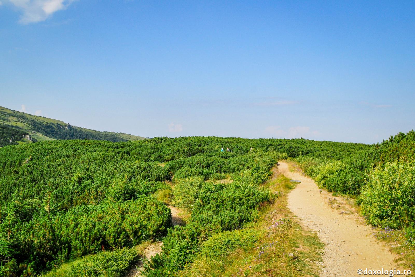„Cerul este Mie scaun şi pământul reazim picioarelor Mele”