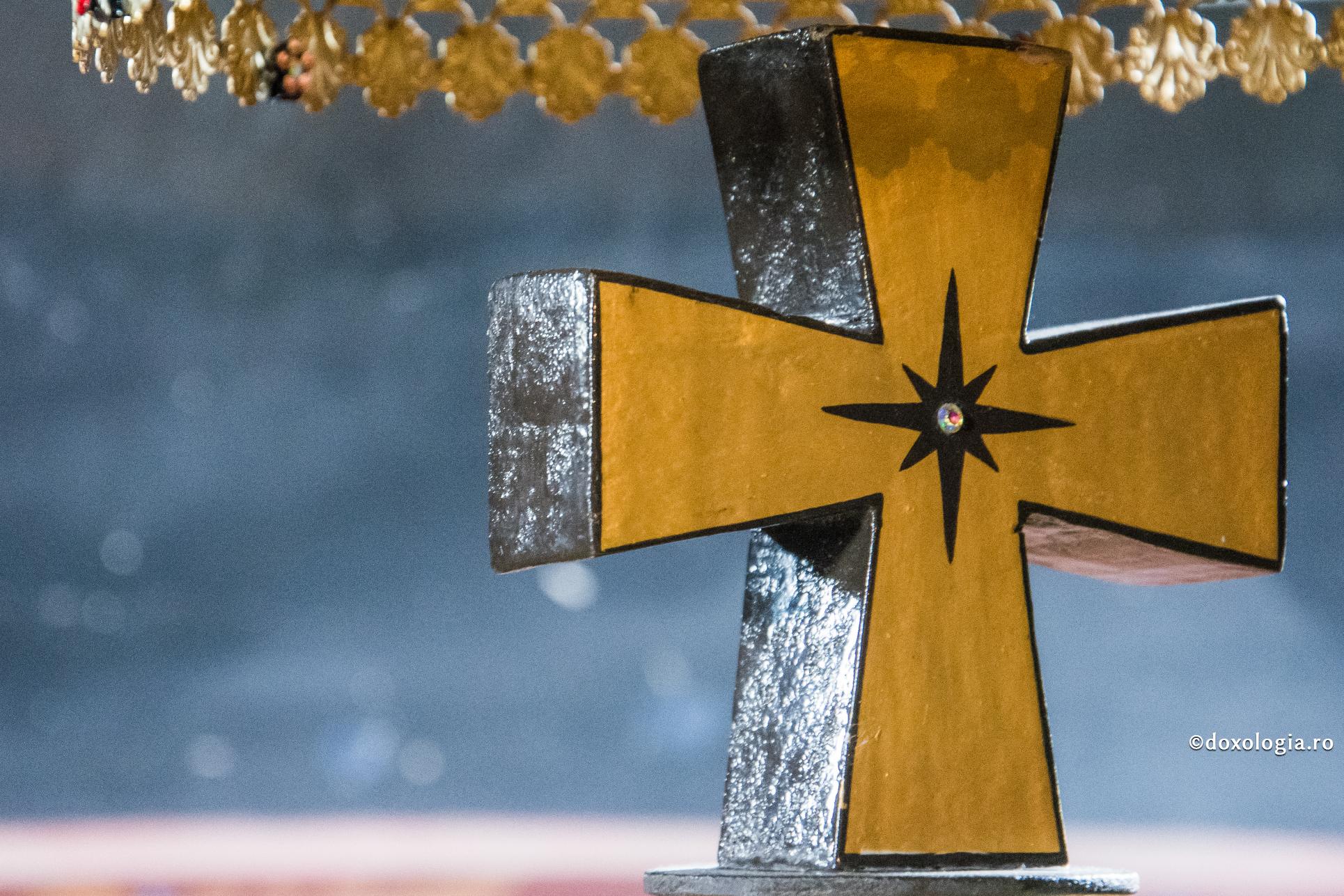 Durerea și suferințele din viața noastră sunt medicamentul mântuirii