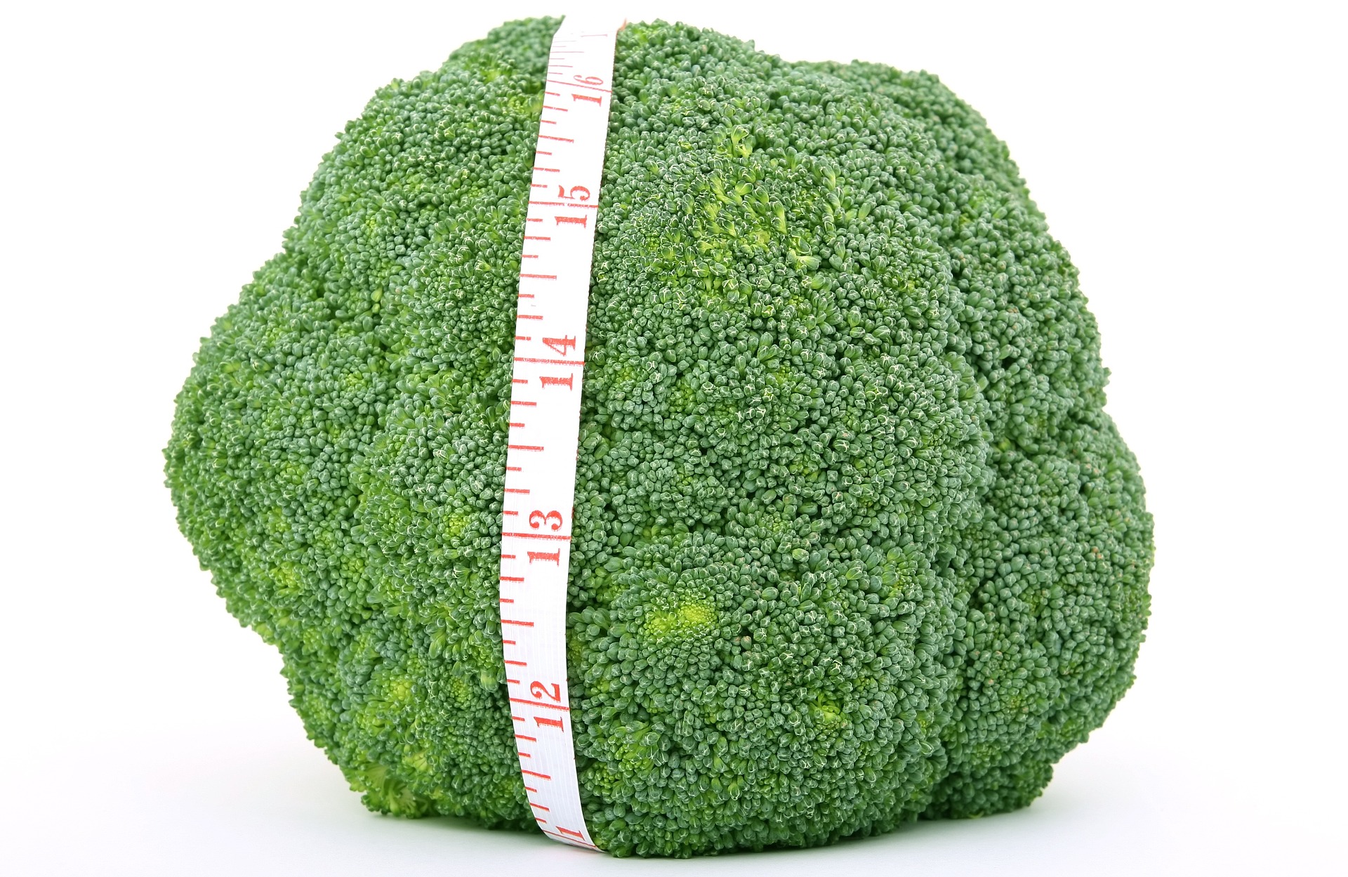 Cum ar putea contribui flora intestinală la lupta împotriva obezităţii Cum ar putea contribui flora intestinală la lupta împotriva obezităţii