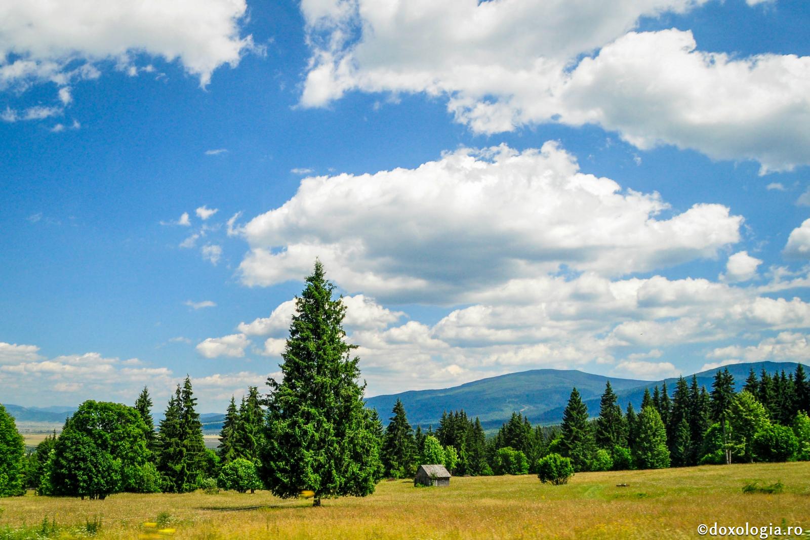 Prima, a doua şi a treia lepădare